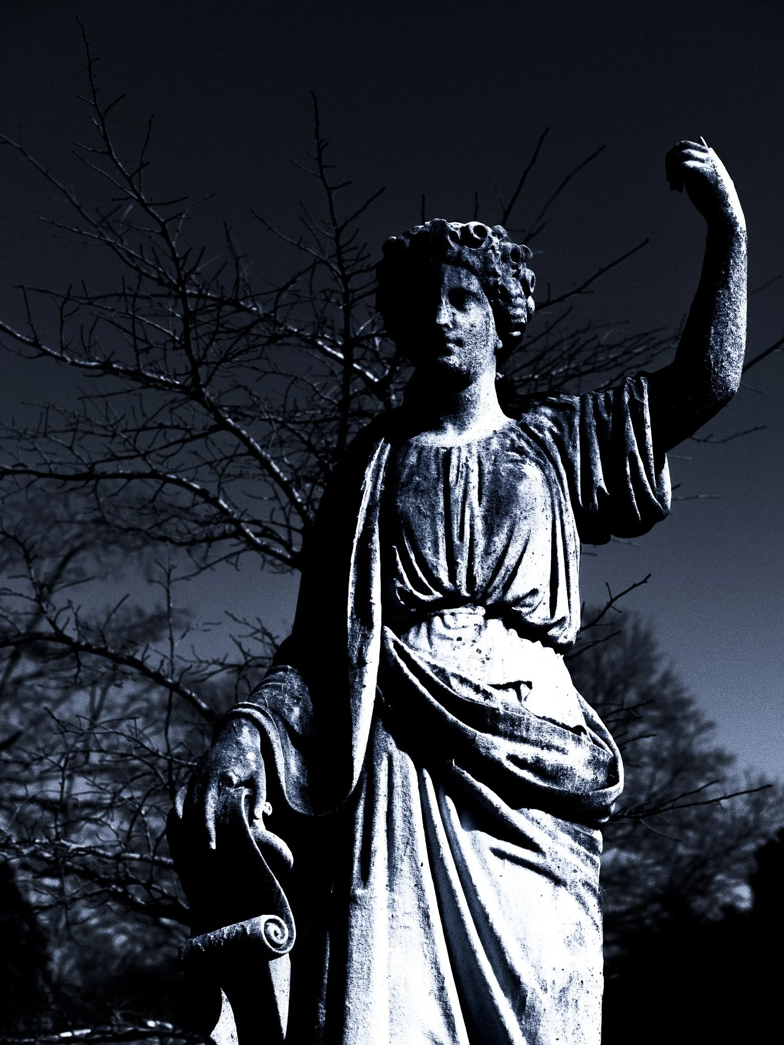 DSCF5123.jpg