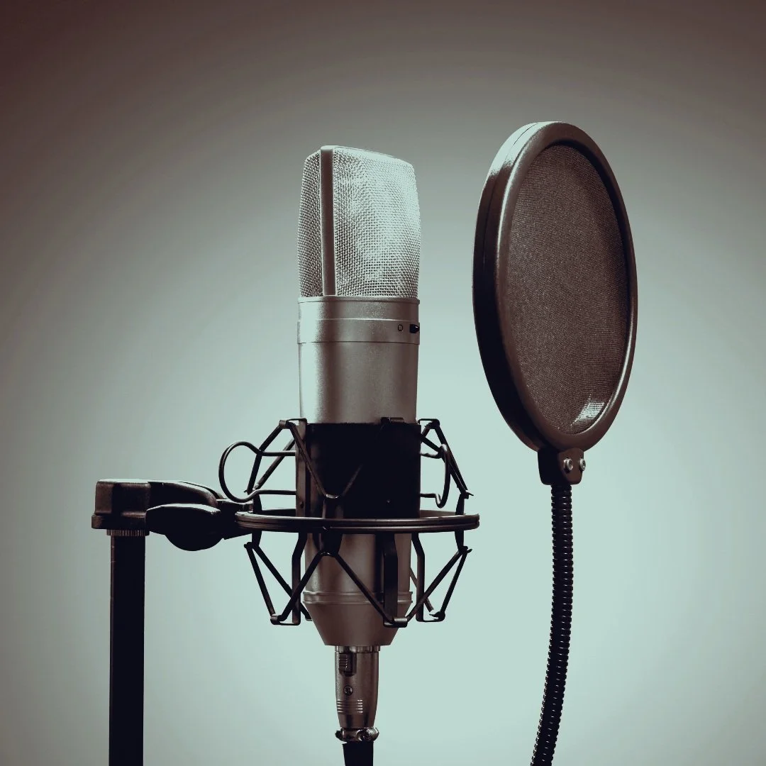 Ein Mikrofon mit Spiralkabel vor einem akustischen Reflexionsschirm.