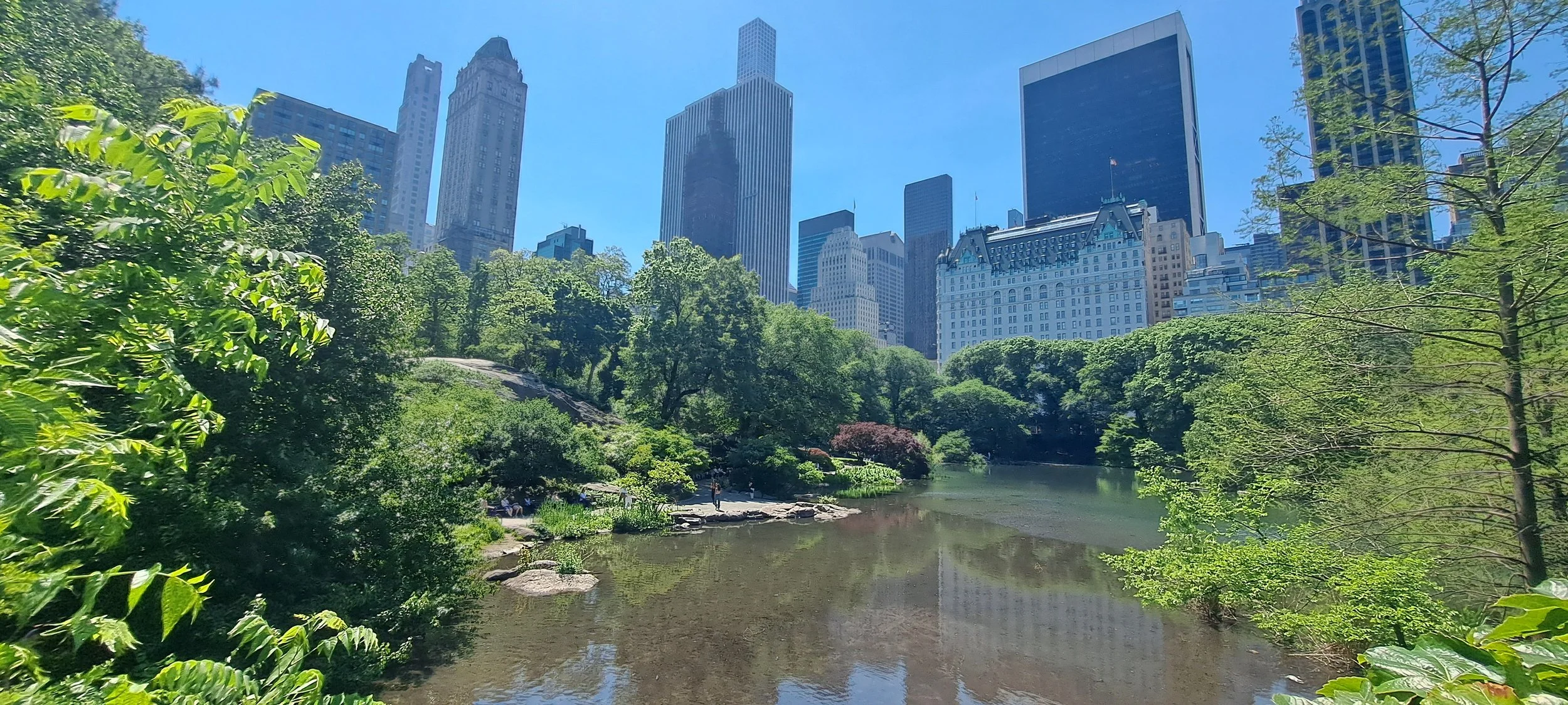 Central Park mit Plaza Hotel.jpg