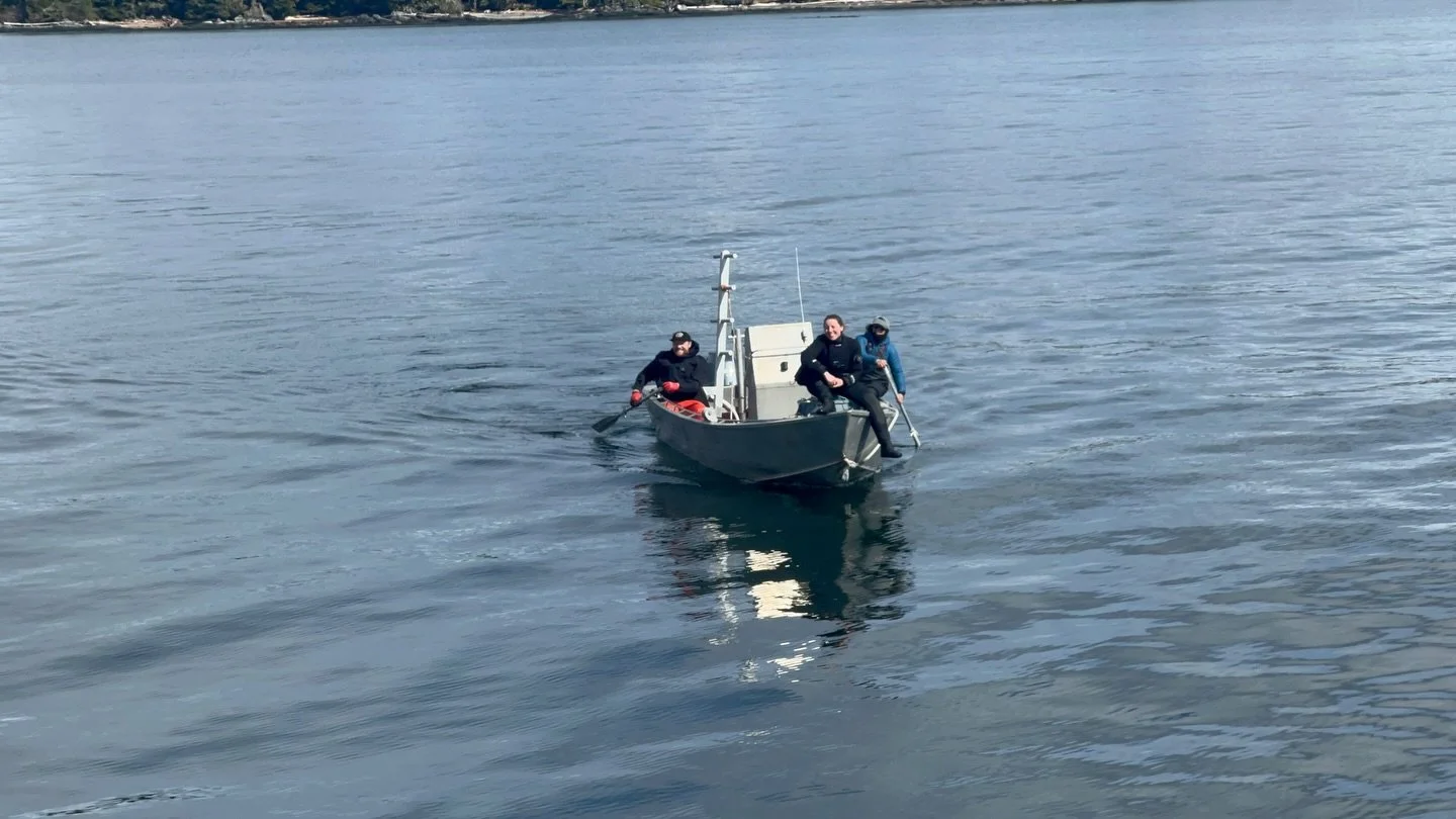 The new trend on the coast: paddle assisted dive surveys. Gotta keep the cardio going between transects.