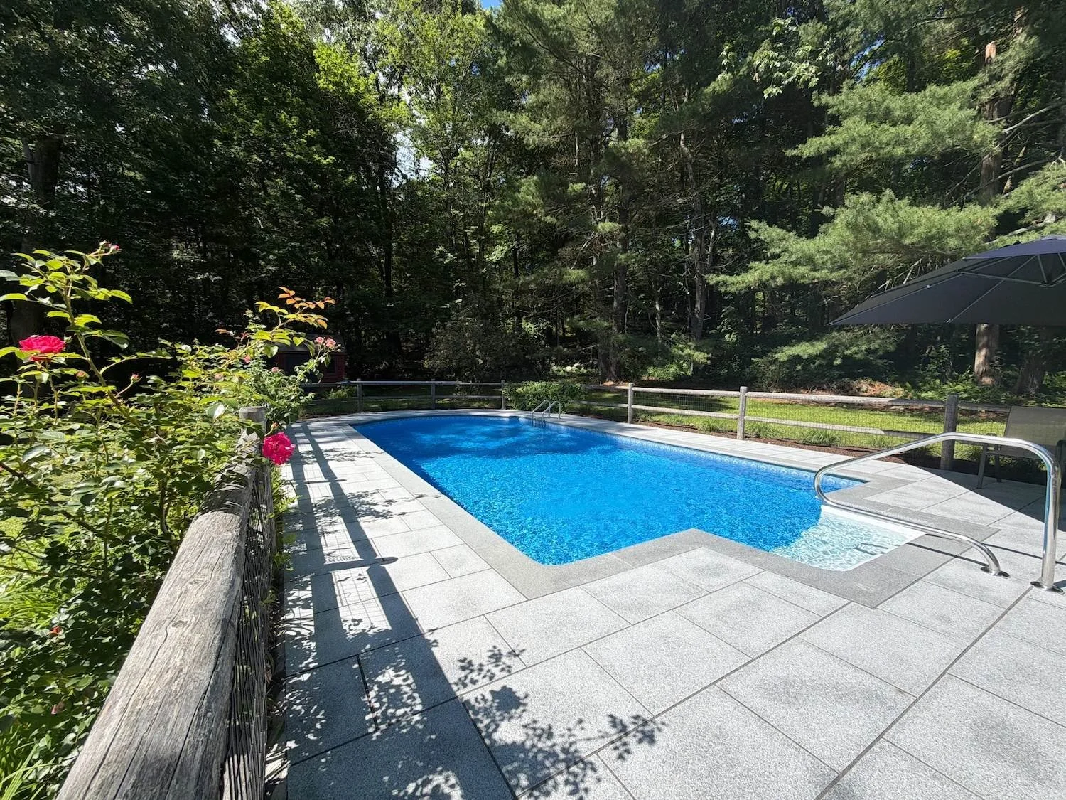 Custom pool and pool deck by Premier Pavers