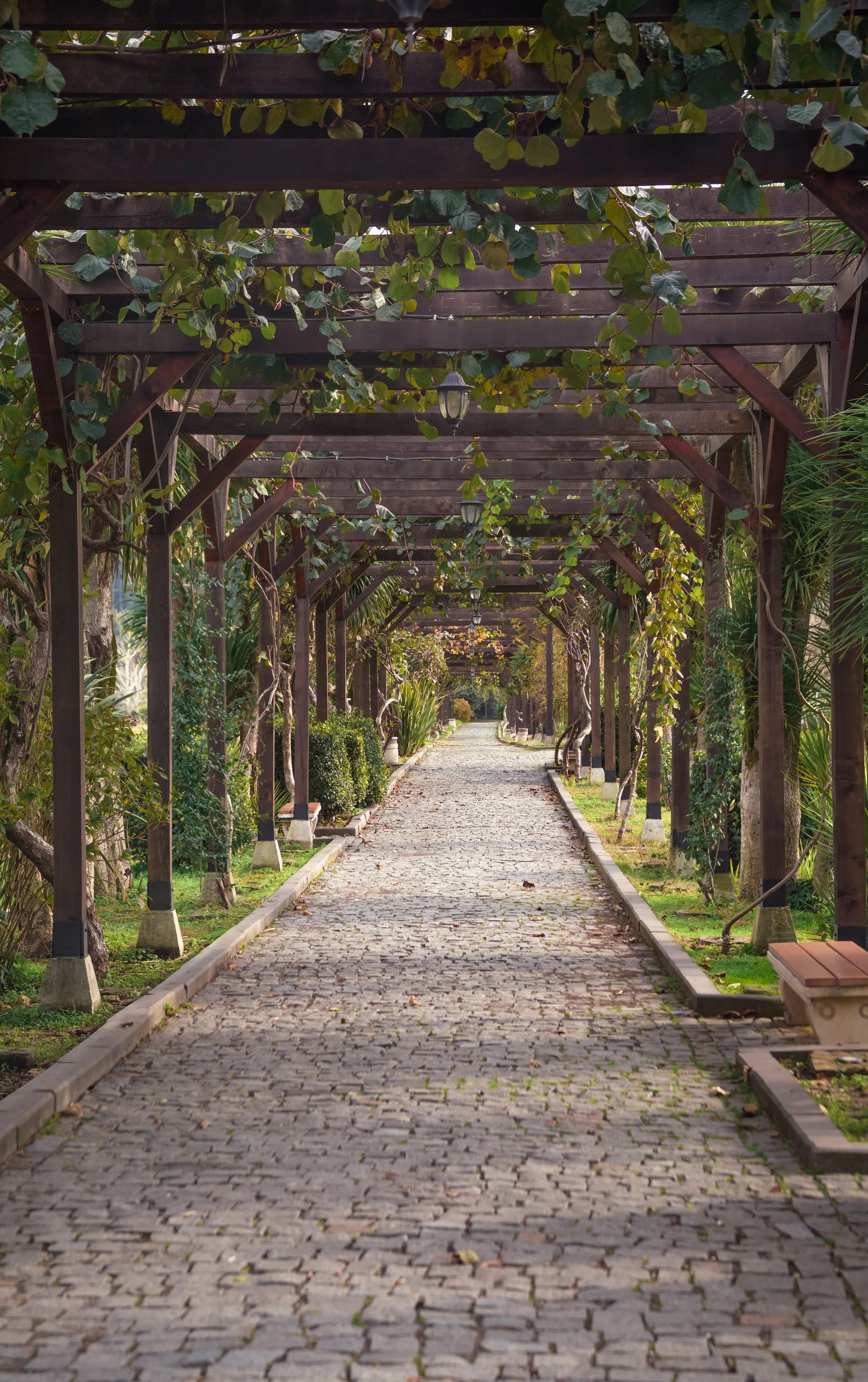 Covered Walkways & Breezeways