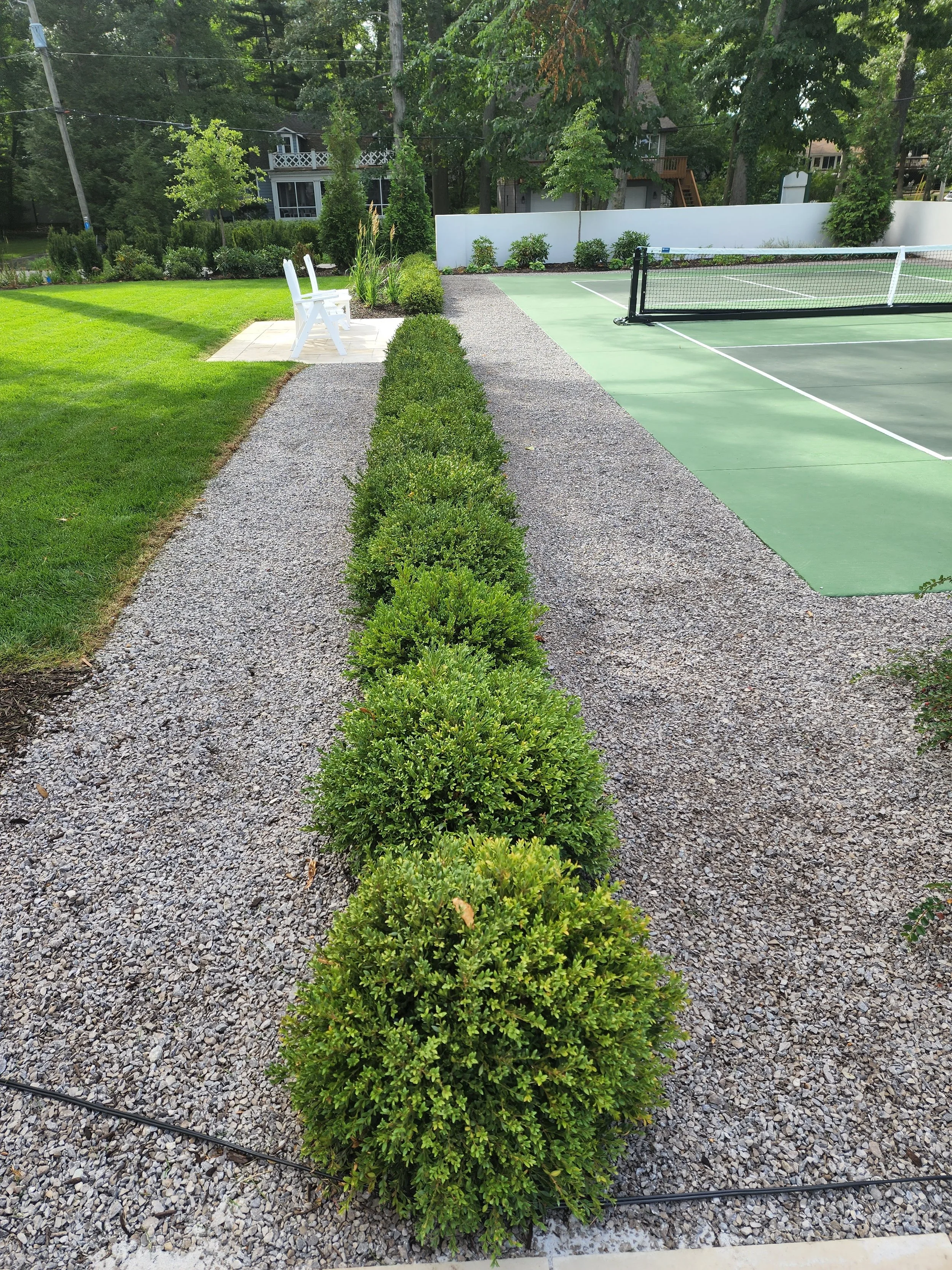 Row of trimmed bushes along a gravel path next to a tennis court with a white fence background.