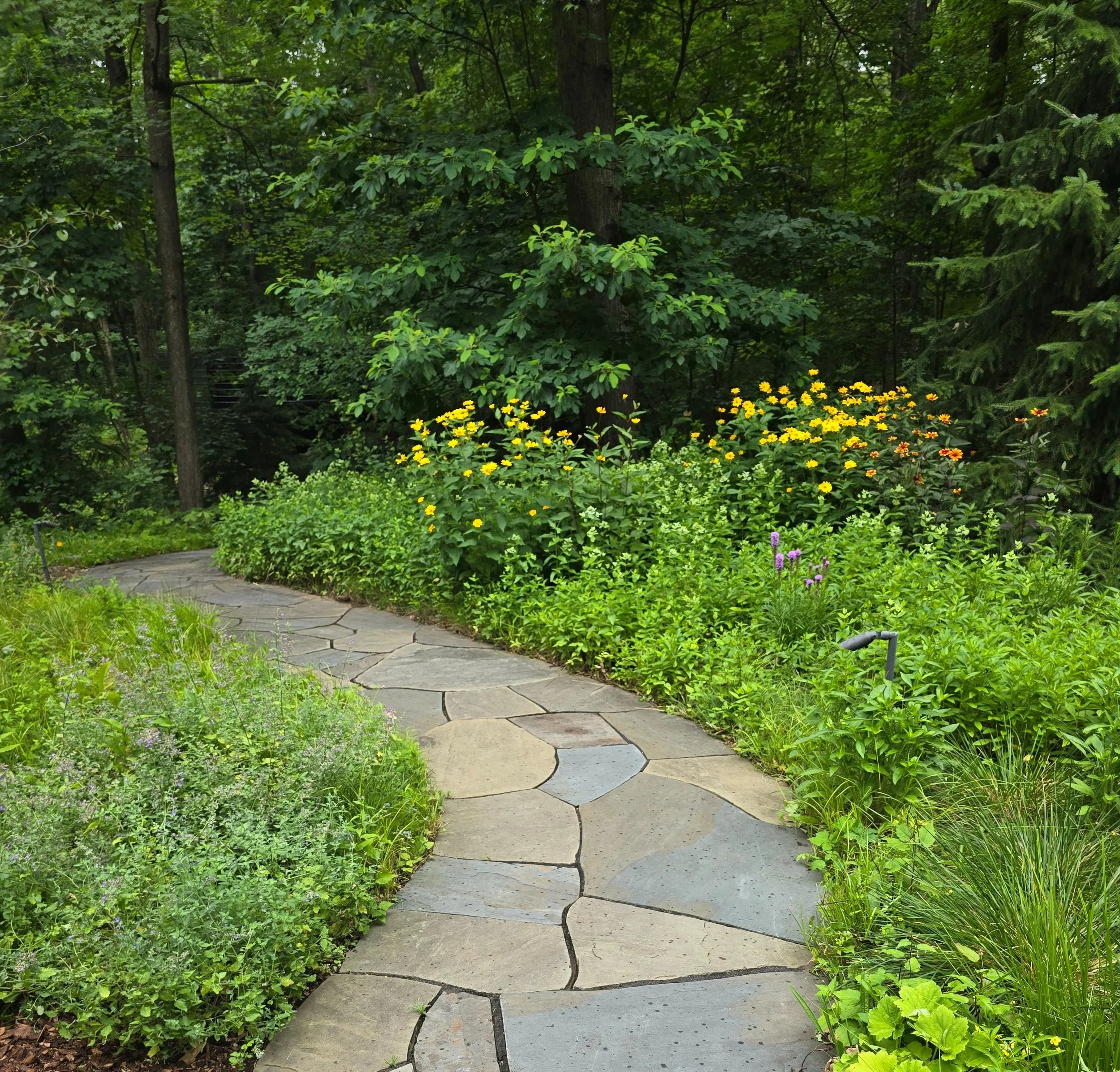 Stone pathway winding through lush green garden with yellow, purple, and pink flowers, surrounded by tall trees and dense foliage.