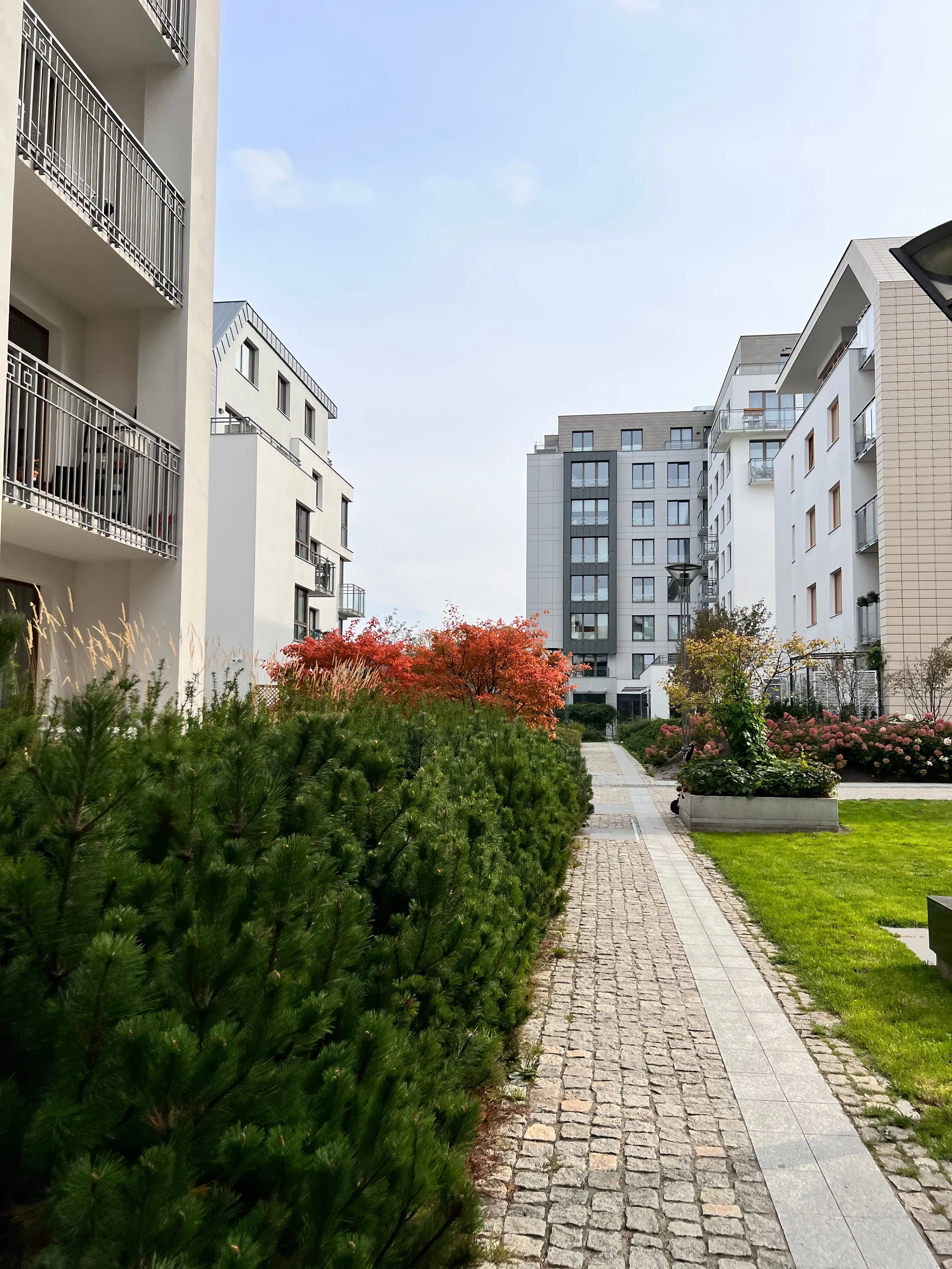 A residential courtyard pathway surrounded by modern apartment buildings, green bushes, and blooming flowers with an overcast sky.
