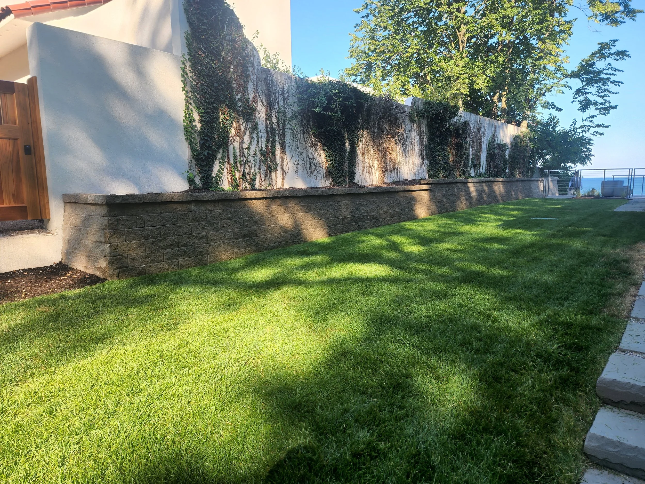 A landscaped backyard with a green lawn, a white wall with creeping vines, a stone retaining wall, and a wooden gate on the left. There are shadows on the grass and a paved pathway on the right, with a tree and a railing in the distance.
