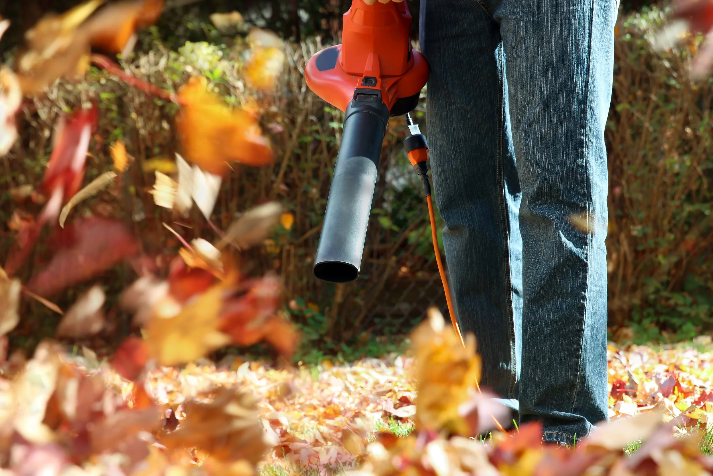Person using leaf blower to clear fallen autumn leaves in a yard.