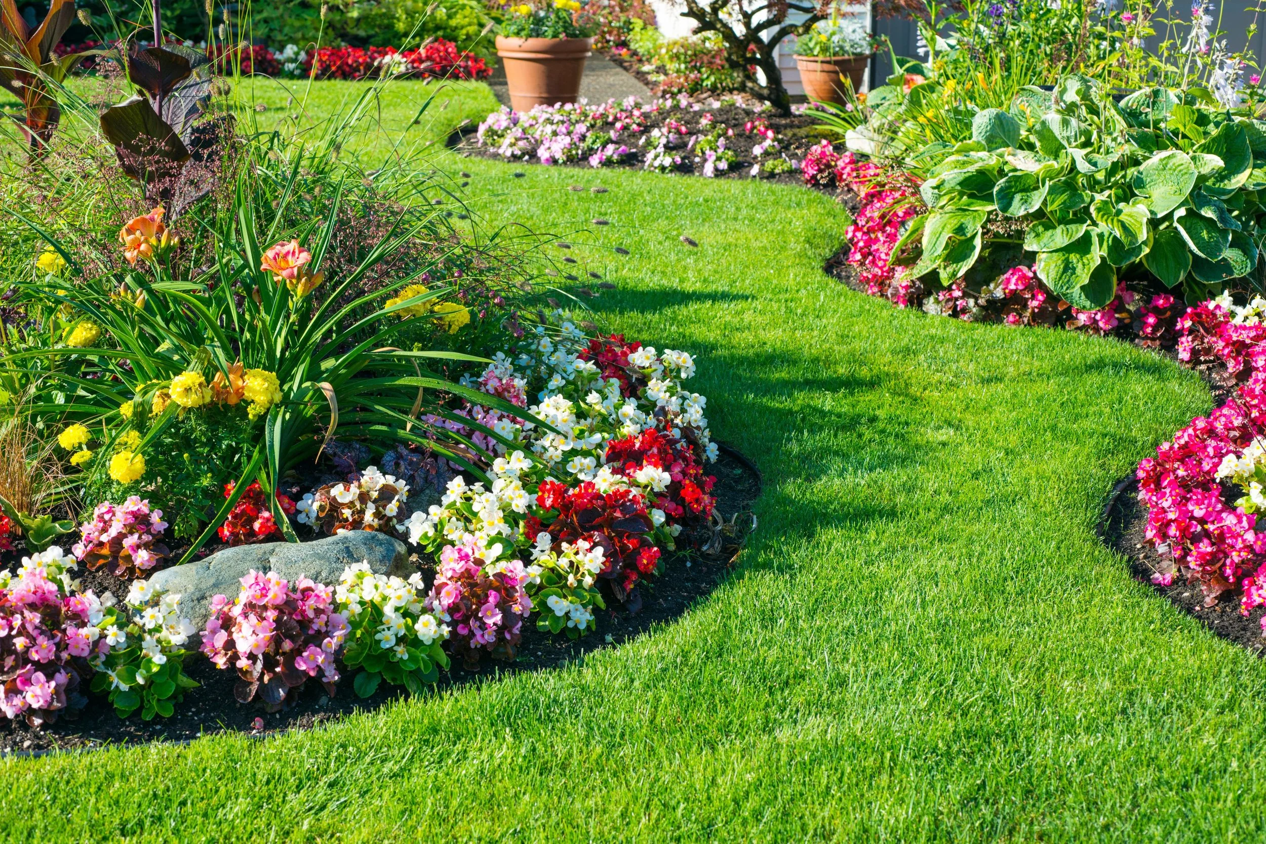 Colorful garden with a curved green lawn border and blooming flowers in various colors including pink, white, red, and yellow, with large terracotta pots in the background.