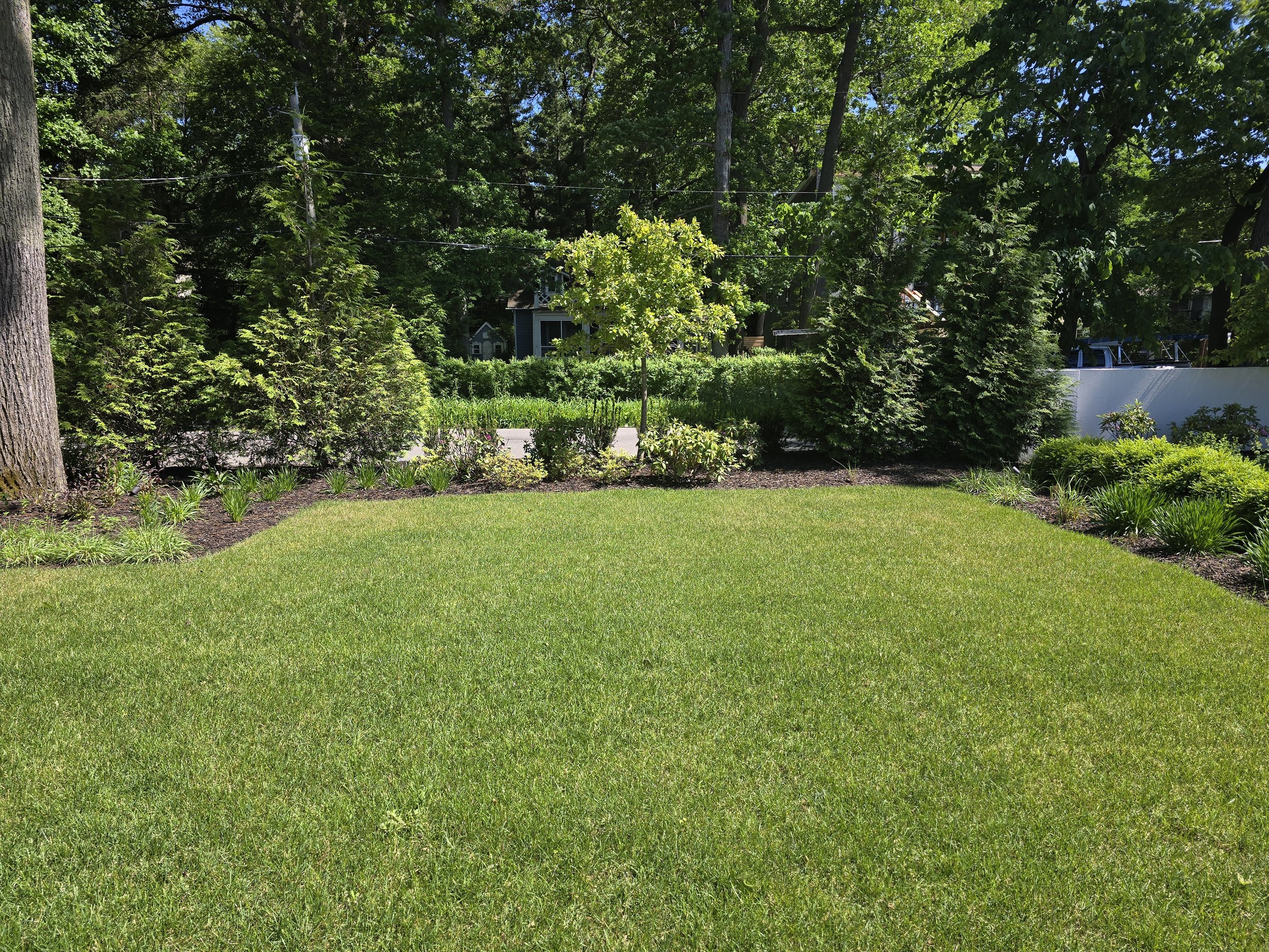A well-maintained grassy backyard with small trees, bushes, and large trees in the background, along with a white fence on the right side.