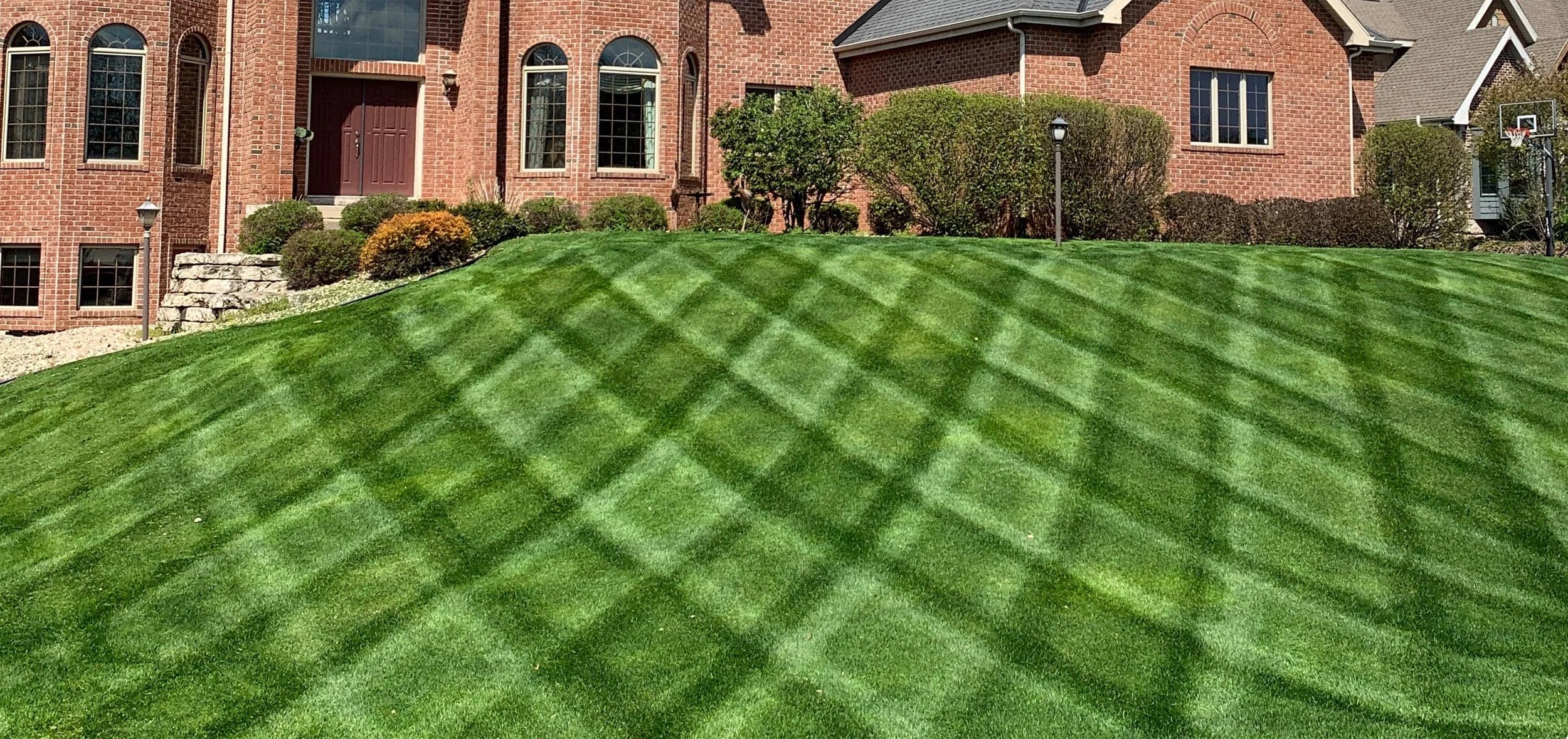lawn fertilization