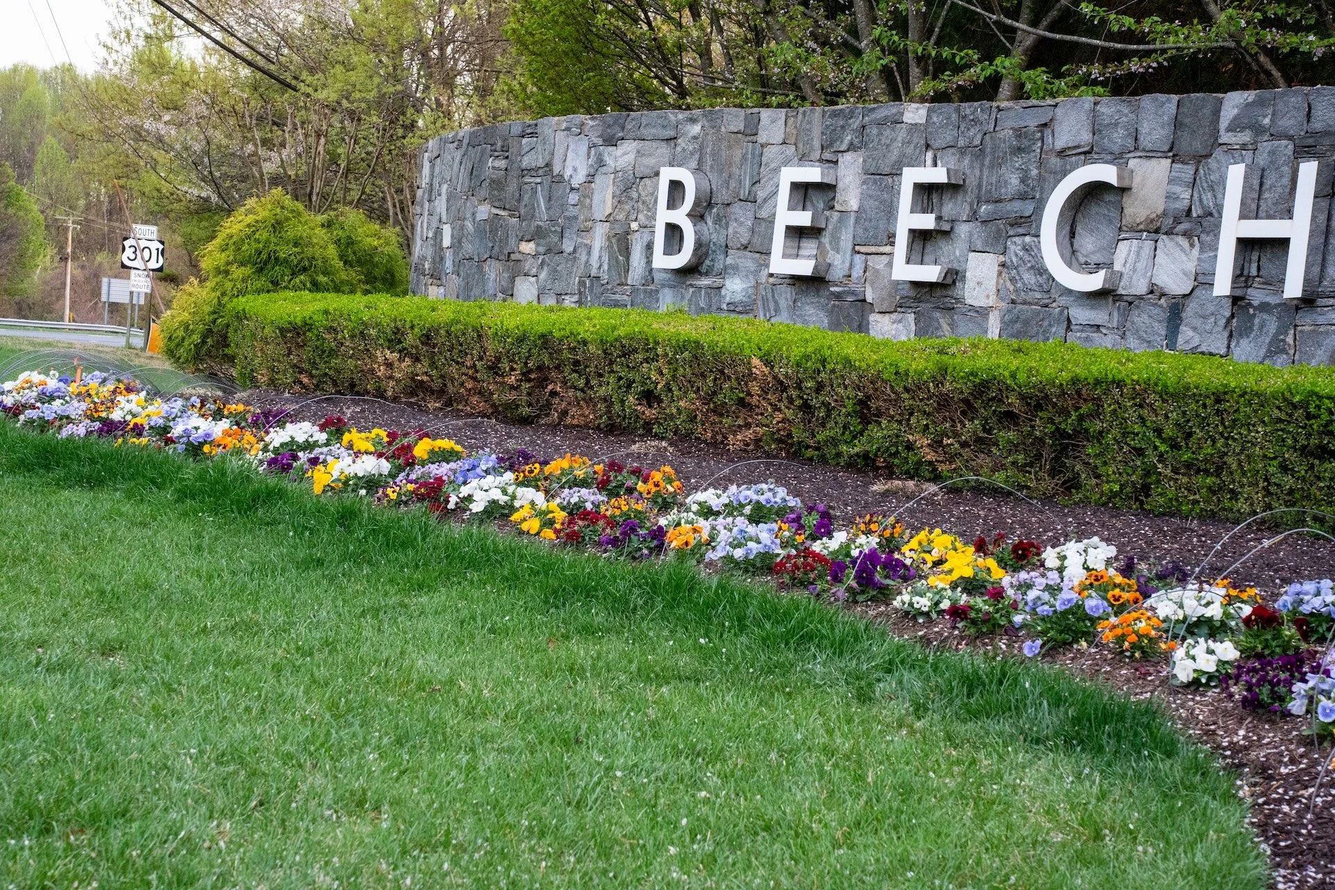 What to Expect From a Commercial Landscaping Company in Fairfax County, VA