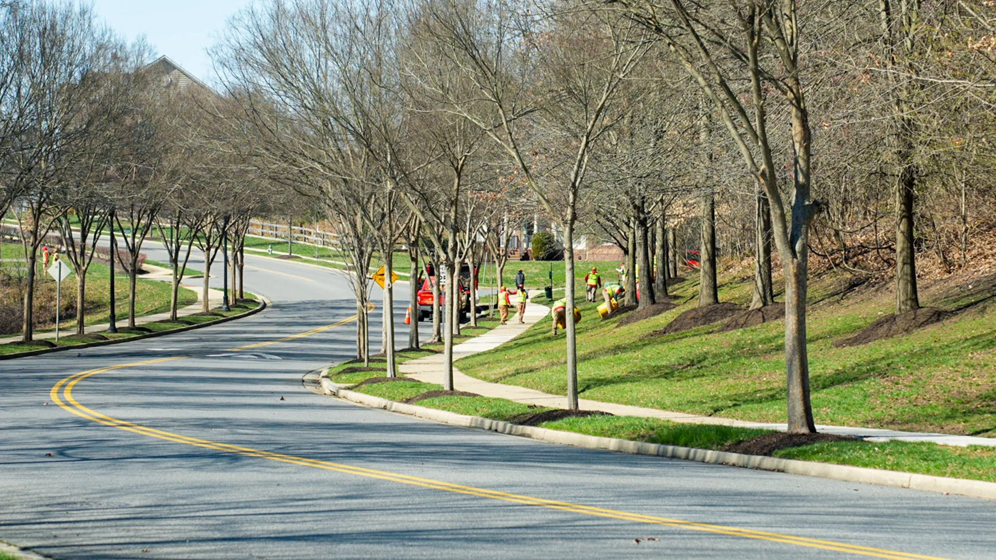 commercial turf care