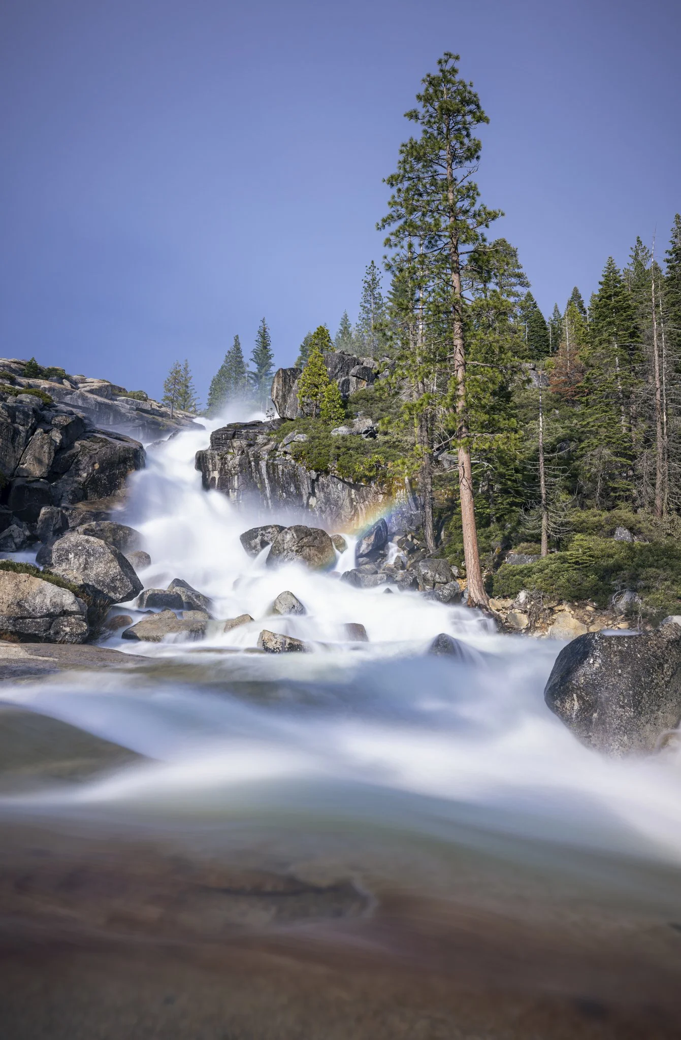 A flowing mountain stream with rocks, tall evergreen trees, and a rainbow in a forested landscape.