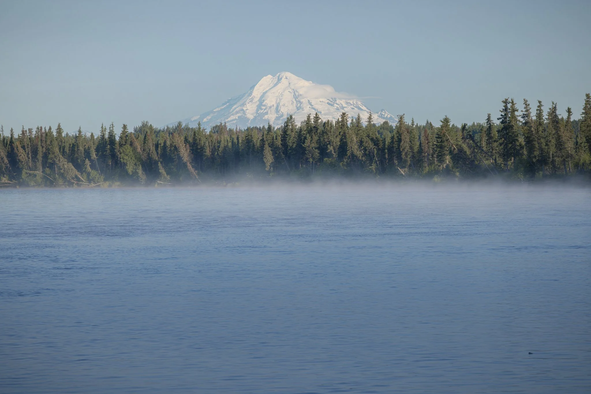 Kenai Mist