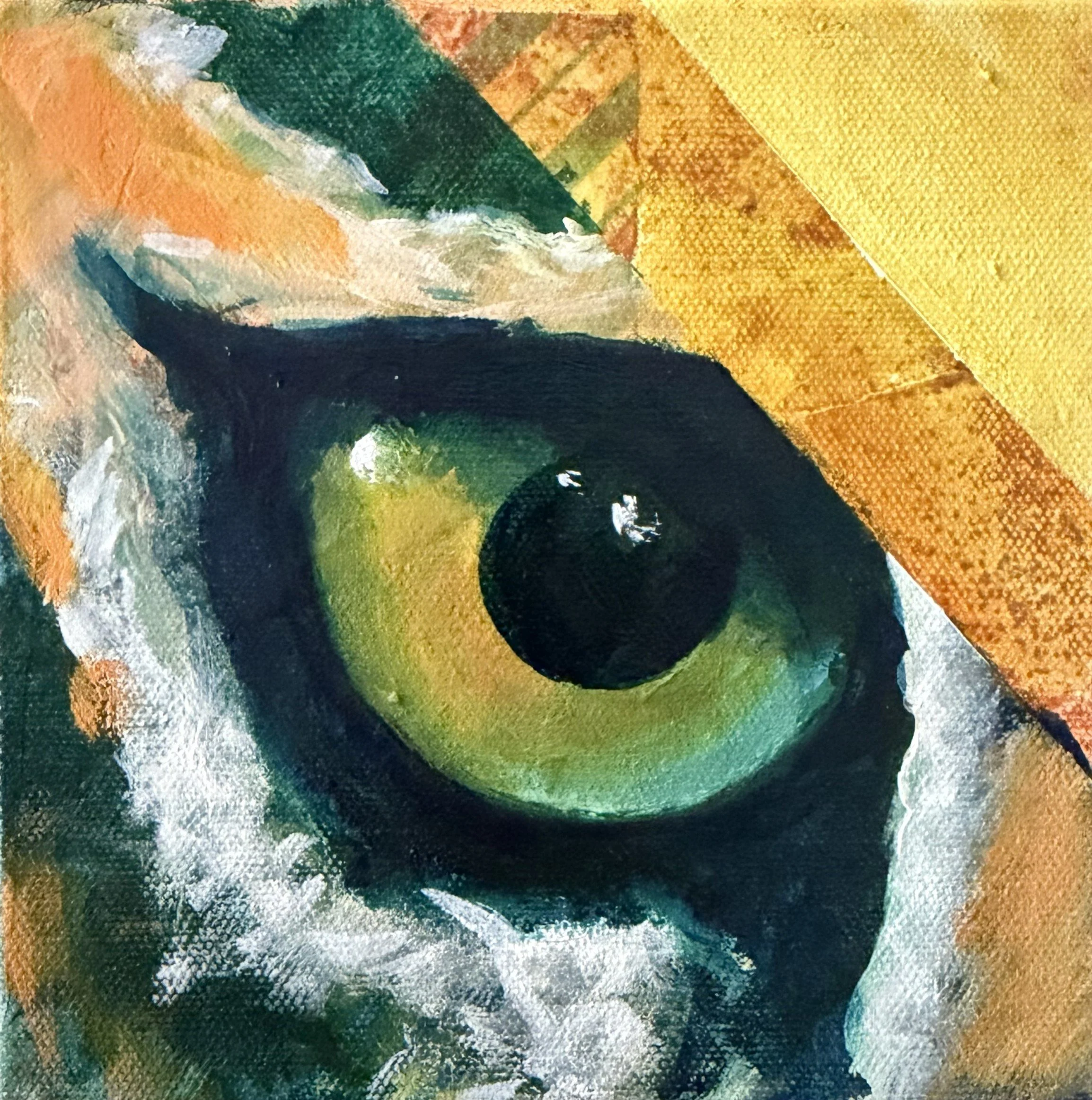Golden Eye_6x6.jpg