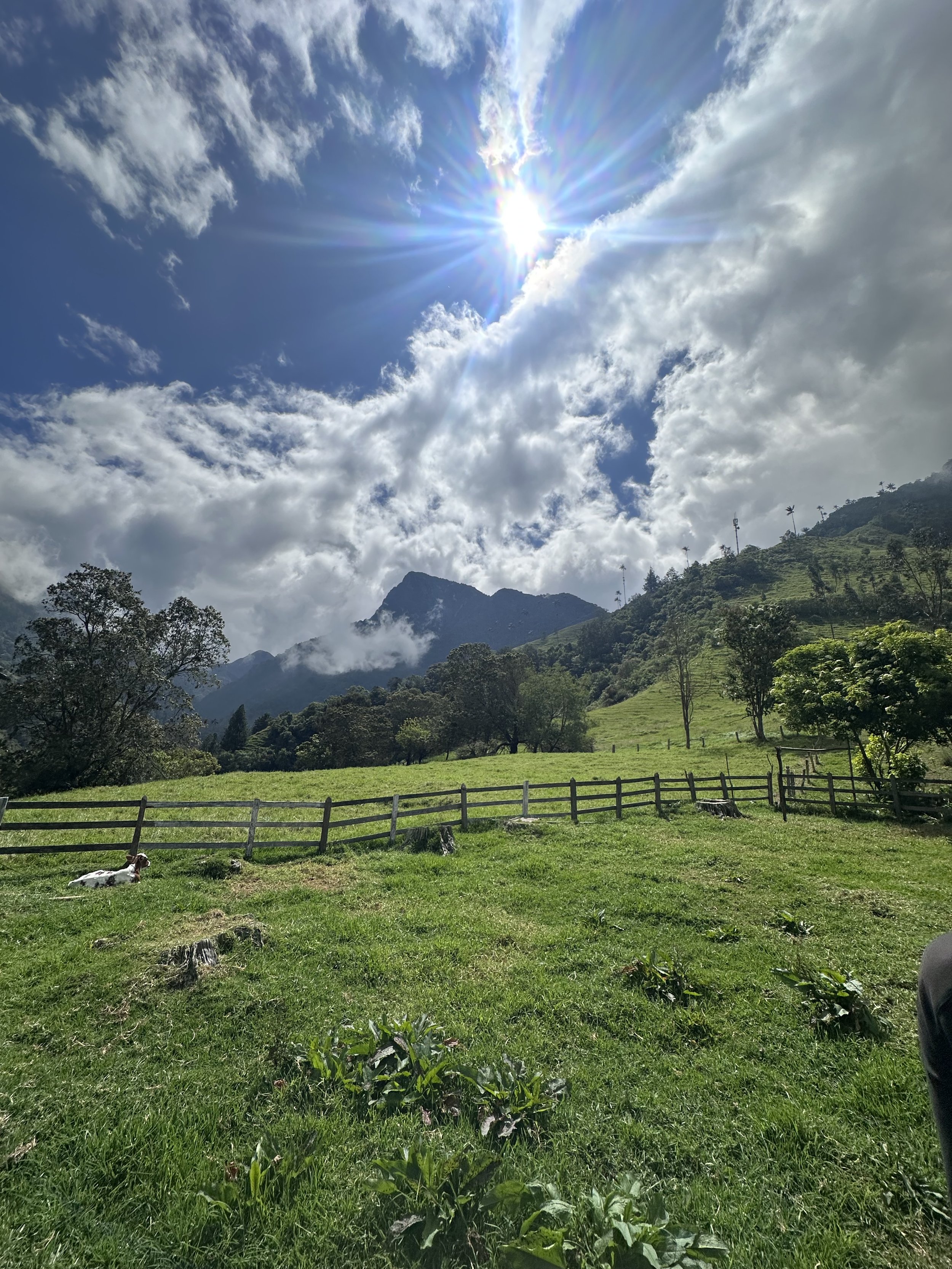 IMG_7042.jpeg