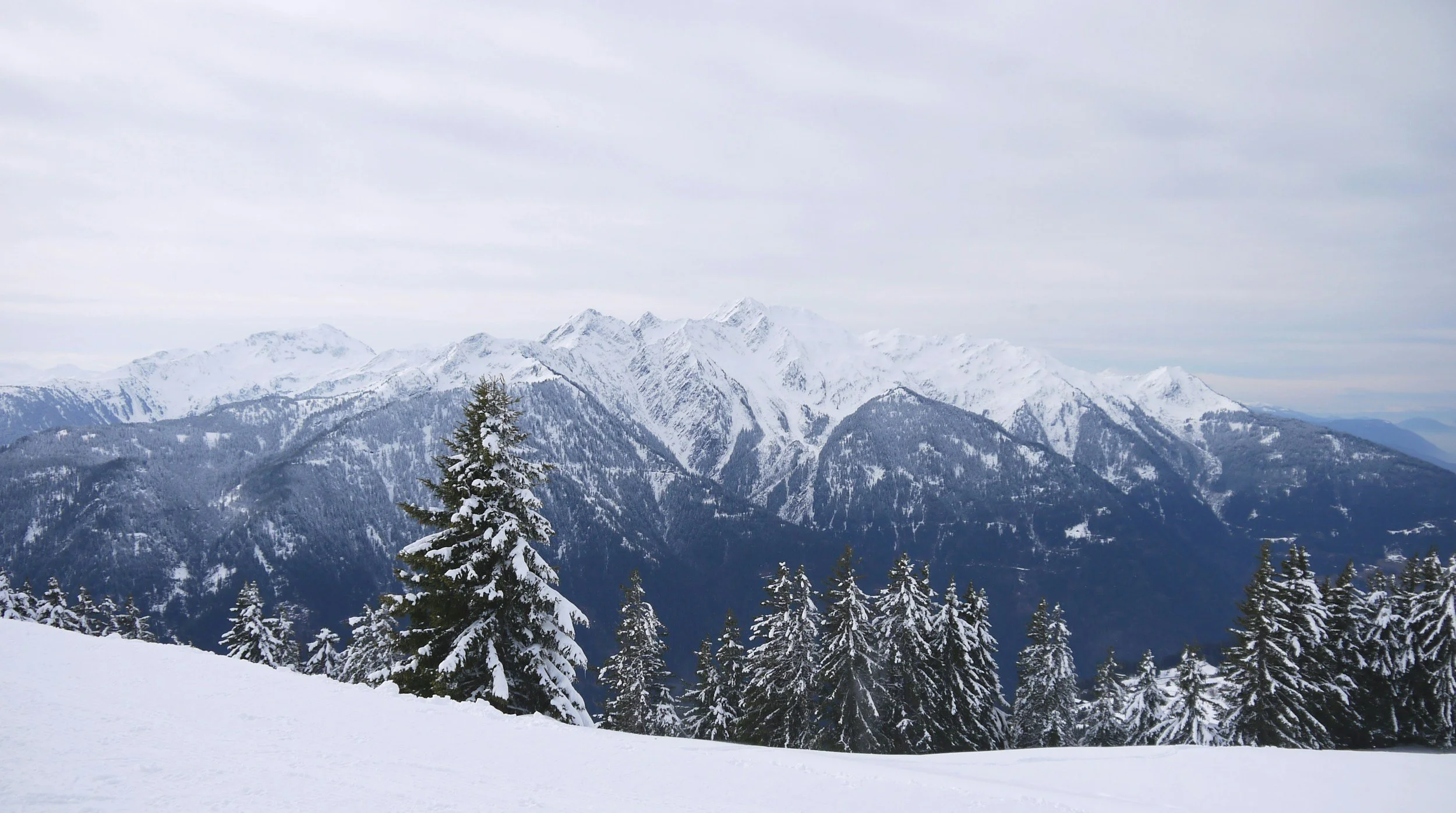 Snow-covered pine trees in the foreground with snow-capped mountains in the background under a cloudy sky.