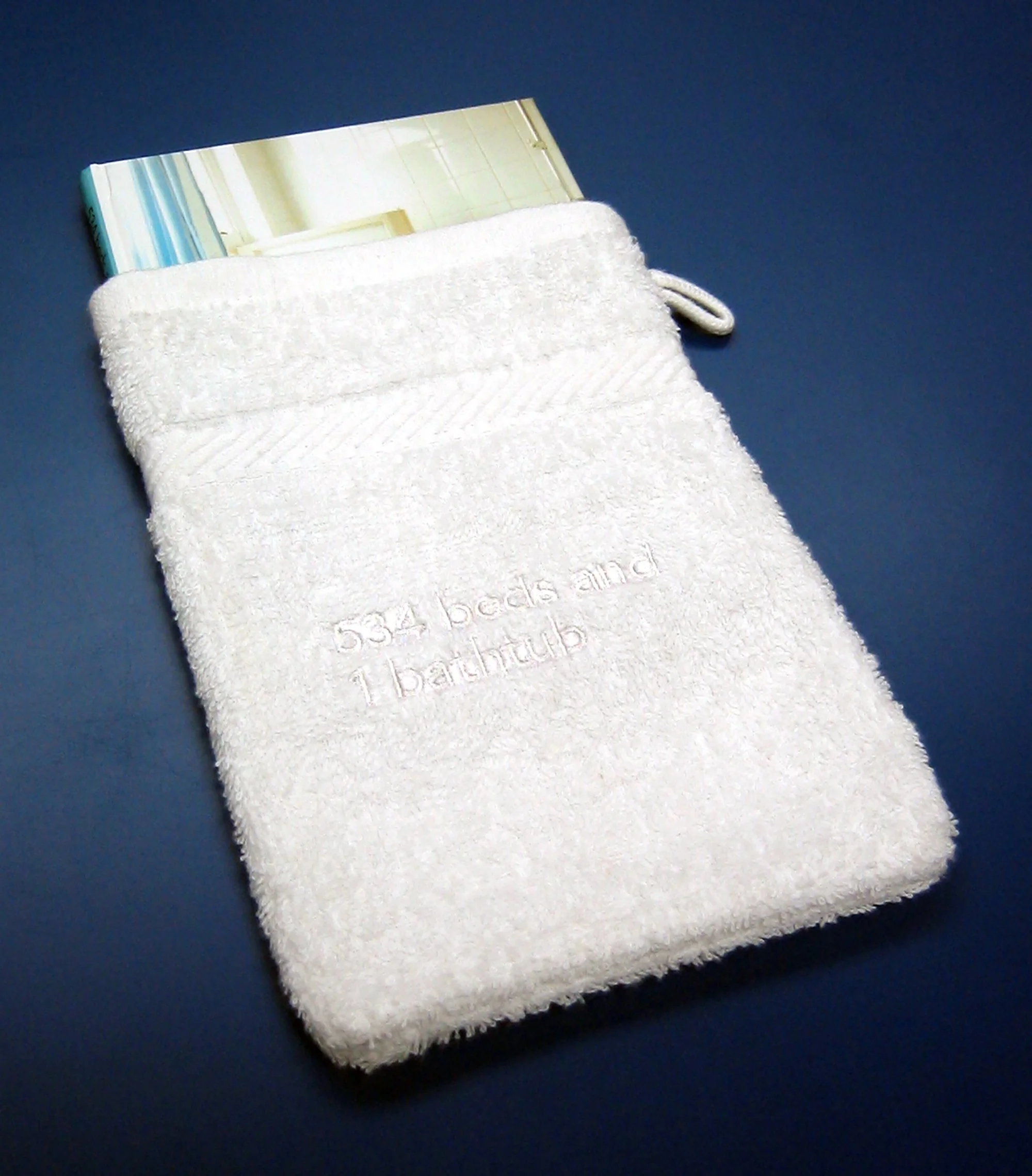 booksleeve web.jpg