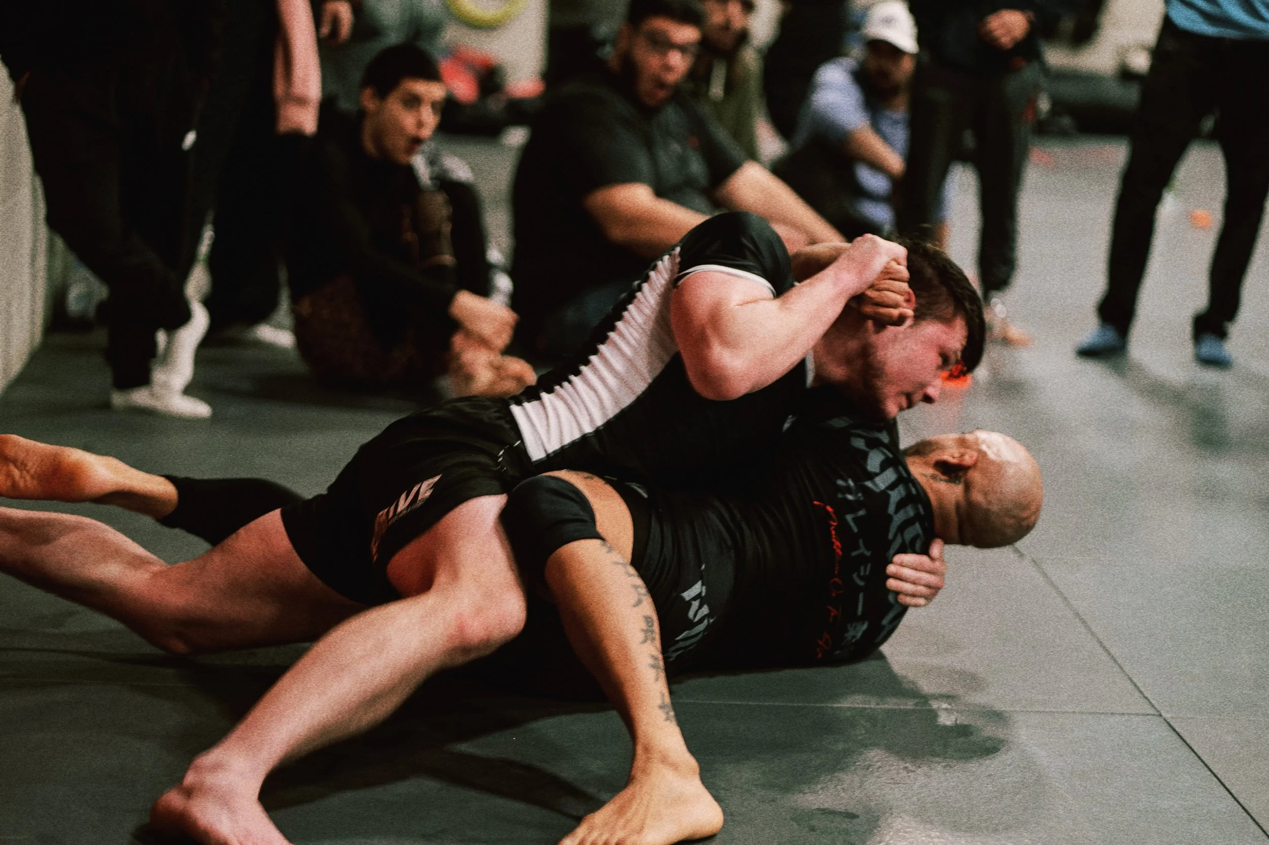 AfterlightImage (1).jpg