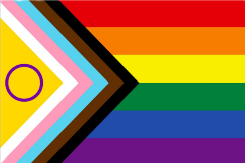 This is an image of the Pride flag with horizontal rainbow stripes on the right. Chevron stripes are on the left with the colors black, brown, light blue, pink, and white. On the left here is a yellow triangle inside the chevrons with a purple circle