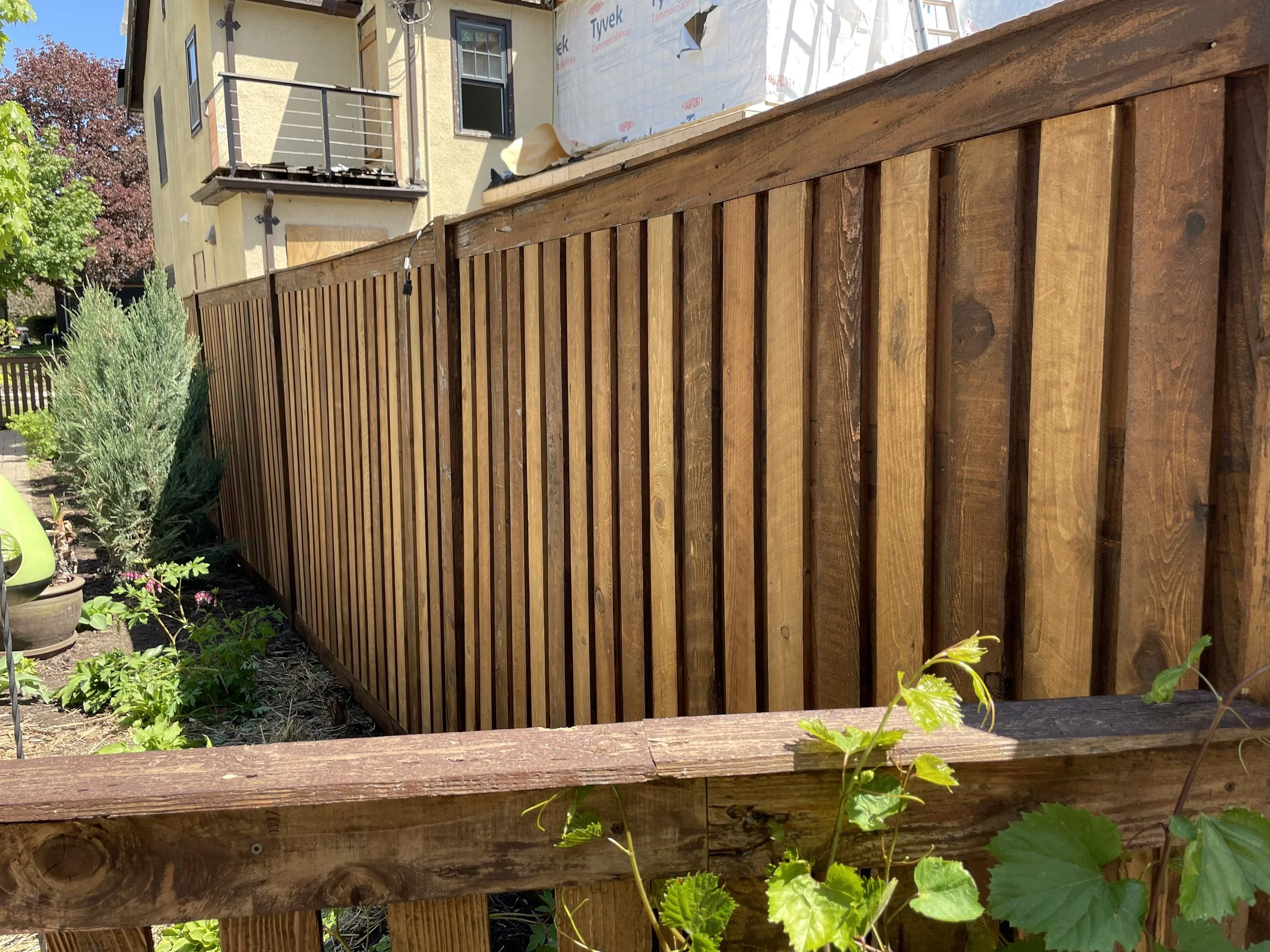 Fence 01.jpg