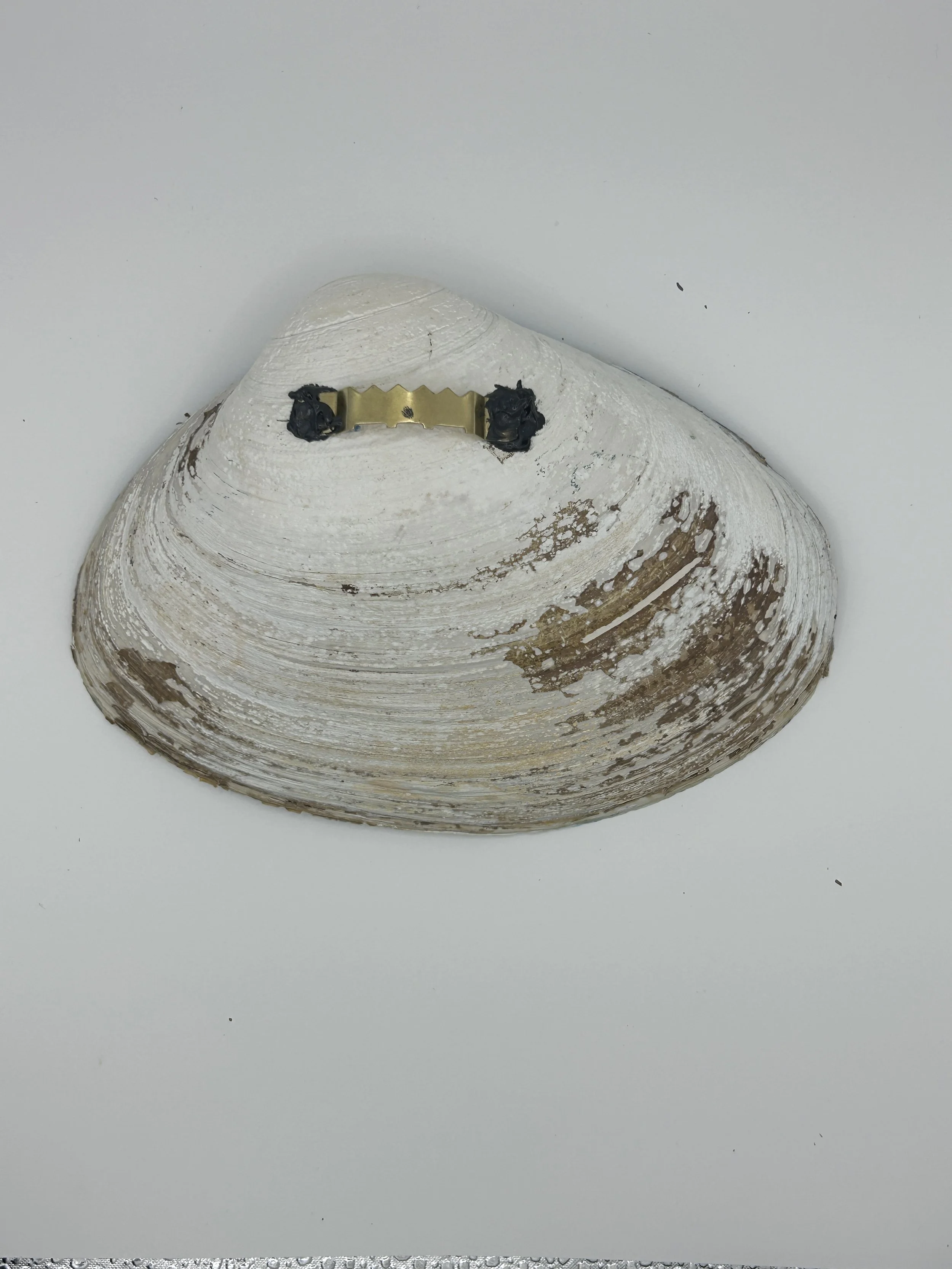 TidetoIpswich- #11- Crane's Dunes.Back.JPG