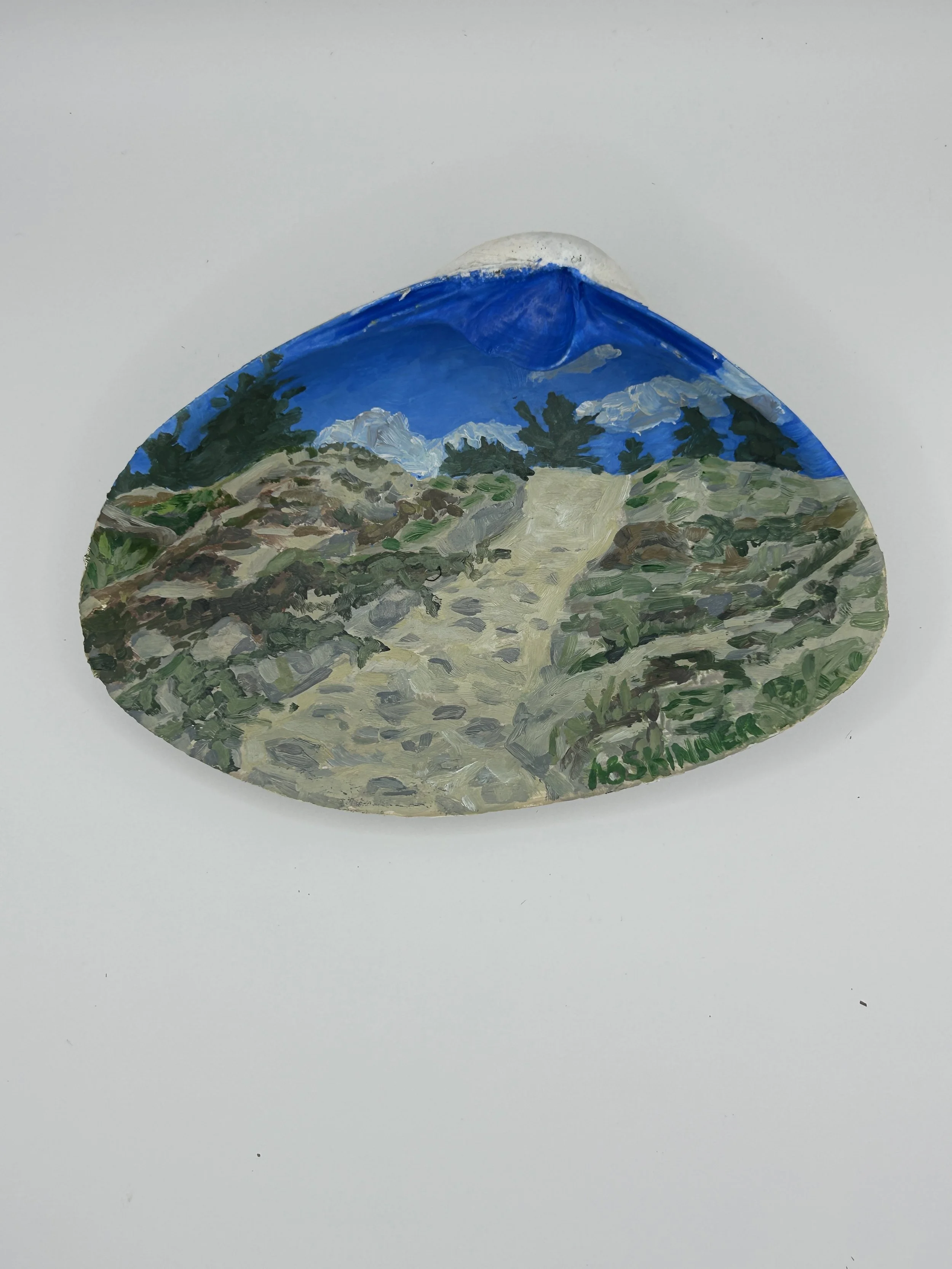 TidetoIpswich- #11- Crane's Dunes.Flat.JPG