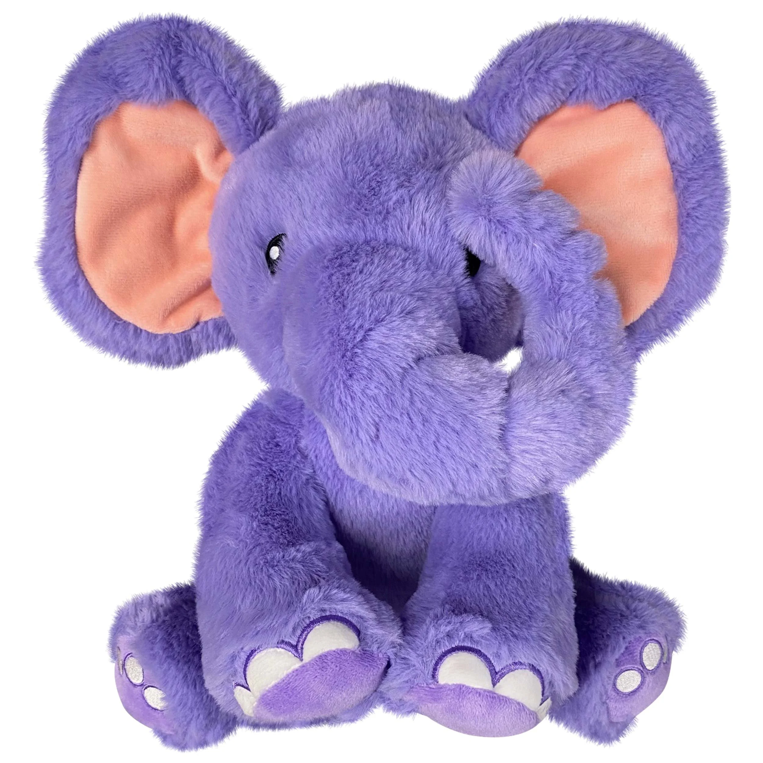 product design & development