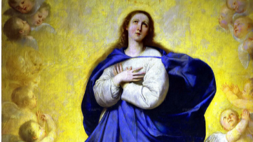 December 7, 2025 : The Immaculate conception