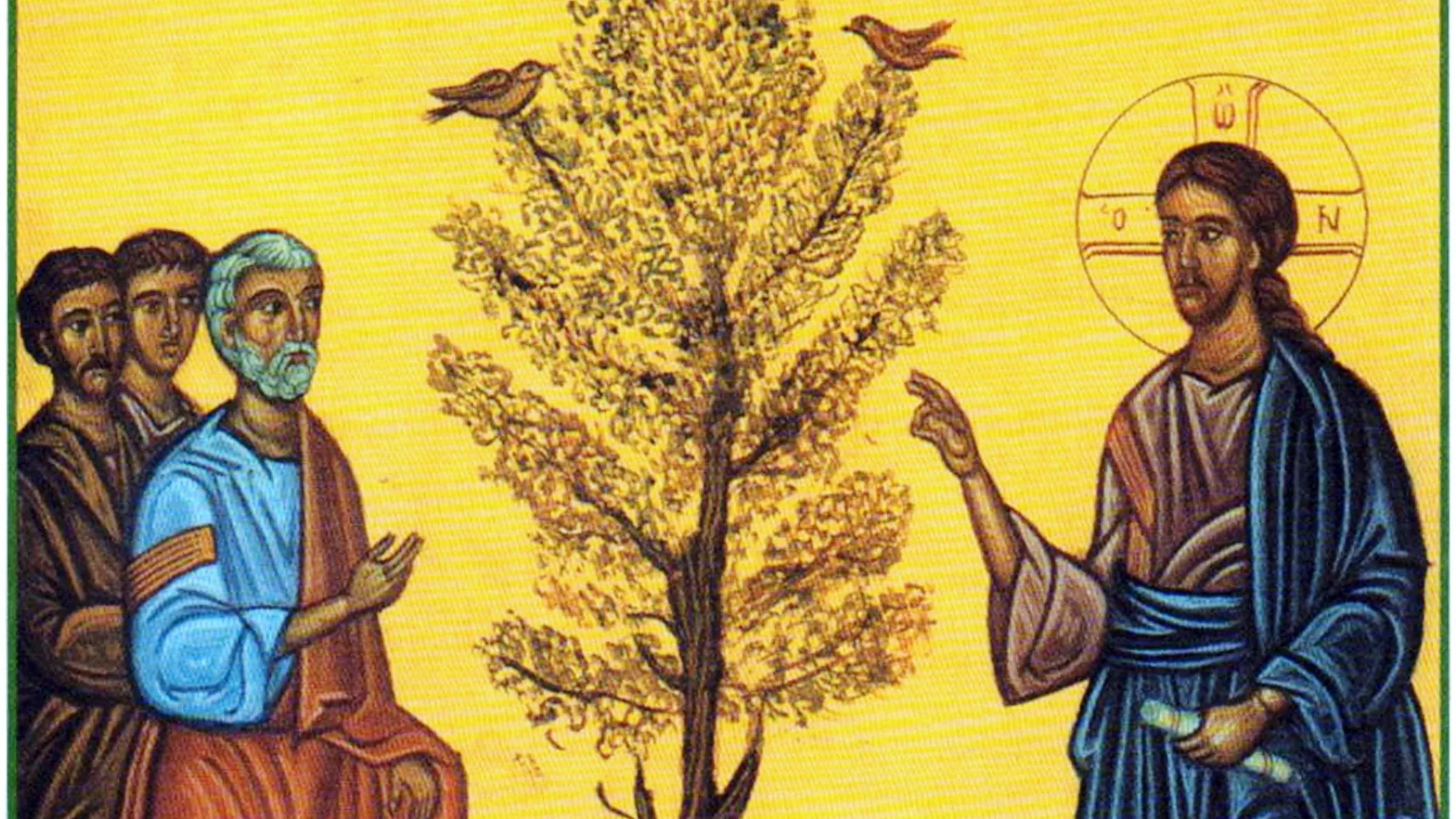 July 19, 2026 | The Sixteenth Sunday of Ordinary Time 