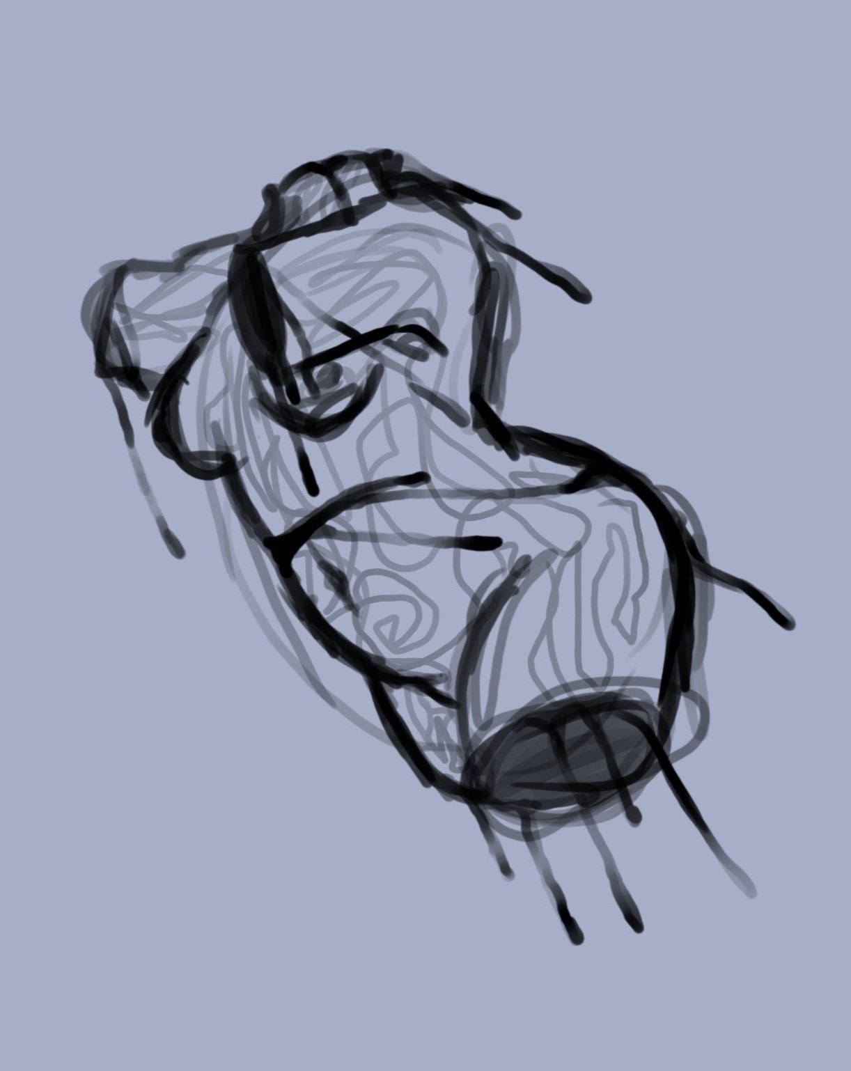 torso+1.jpg