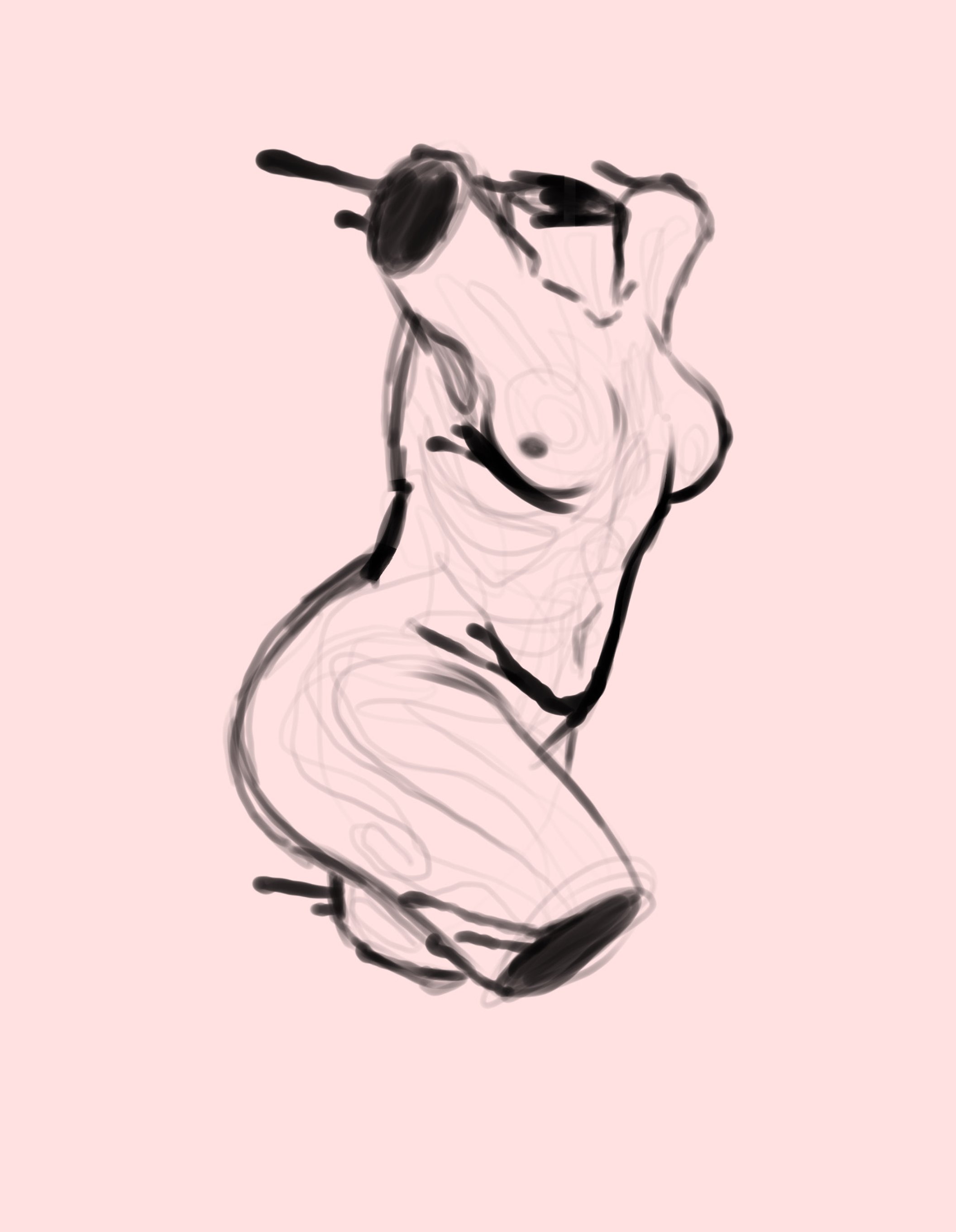 torso 5.jpg
