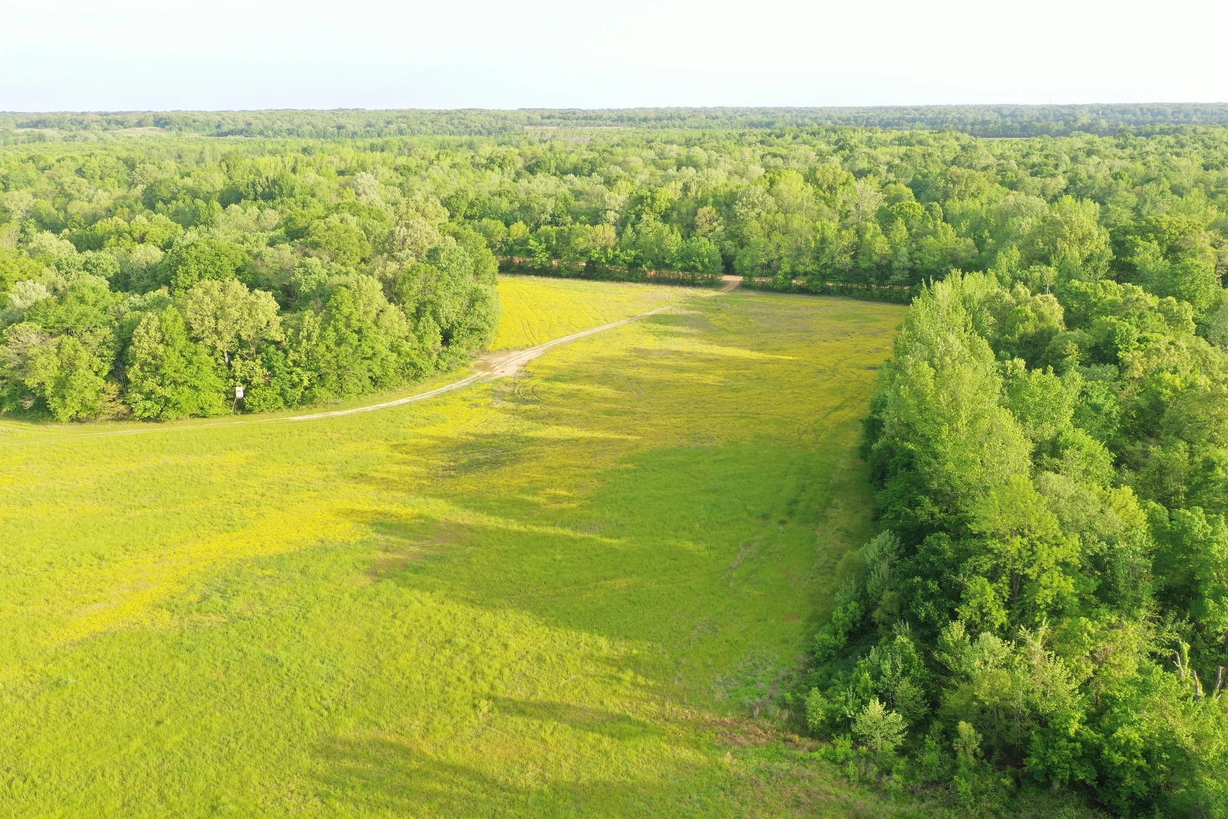 DJI_0451.JPG