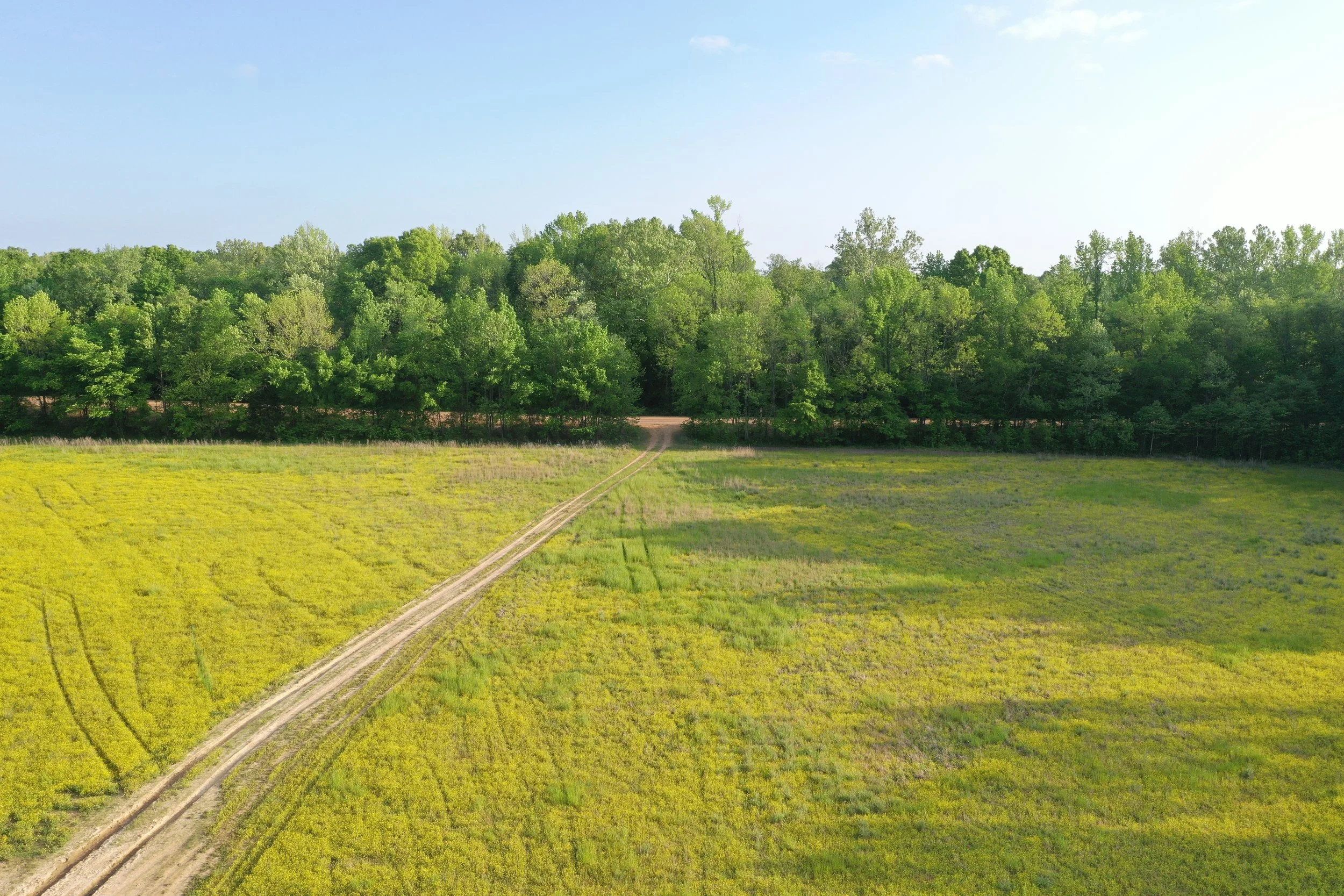 DJI_0467.JPG