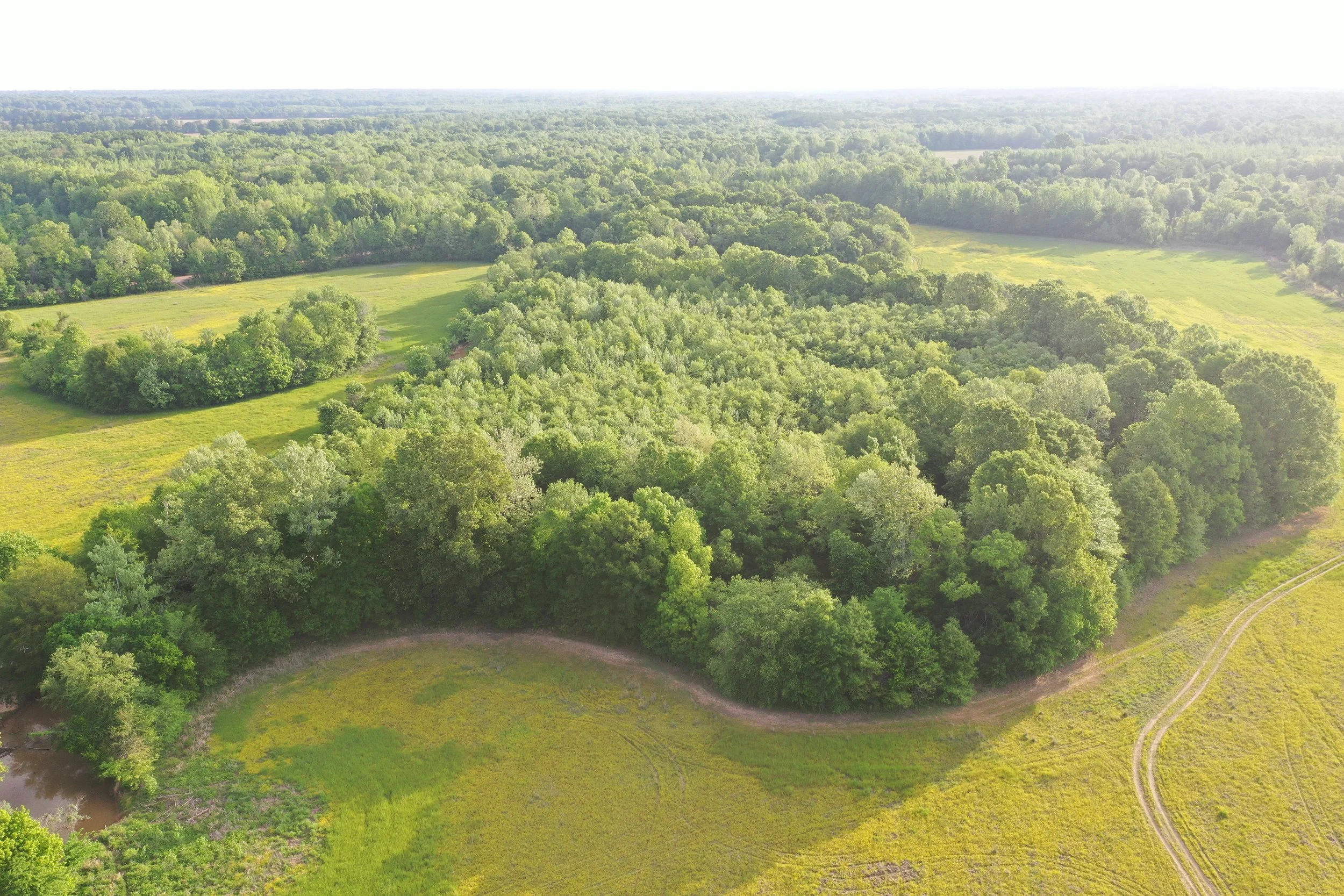 DJI_0456.JPG
