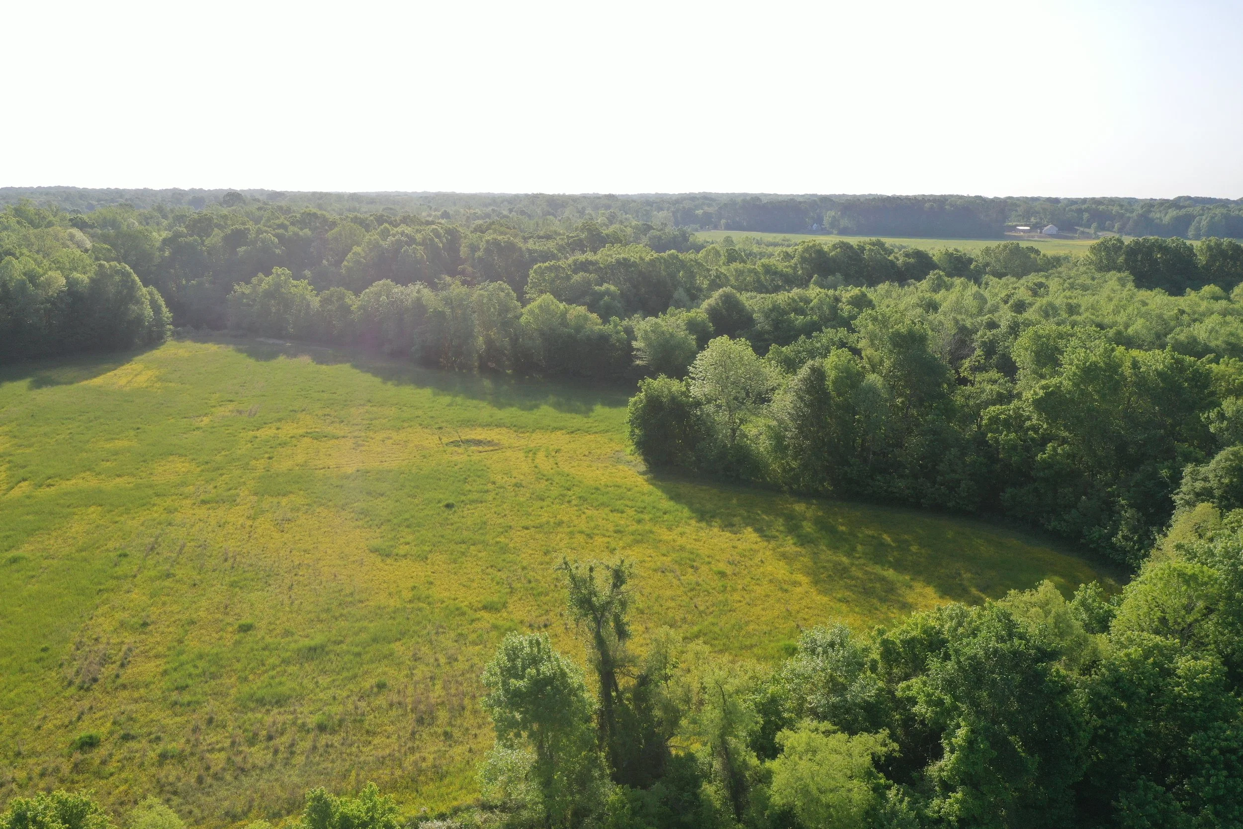 DJI_0474.JPG