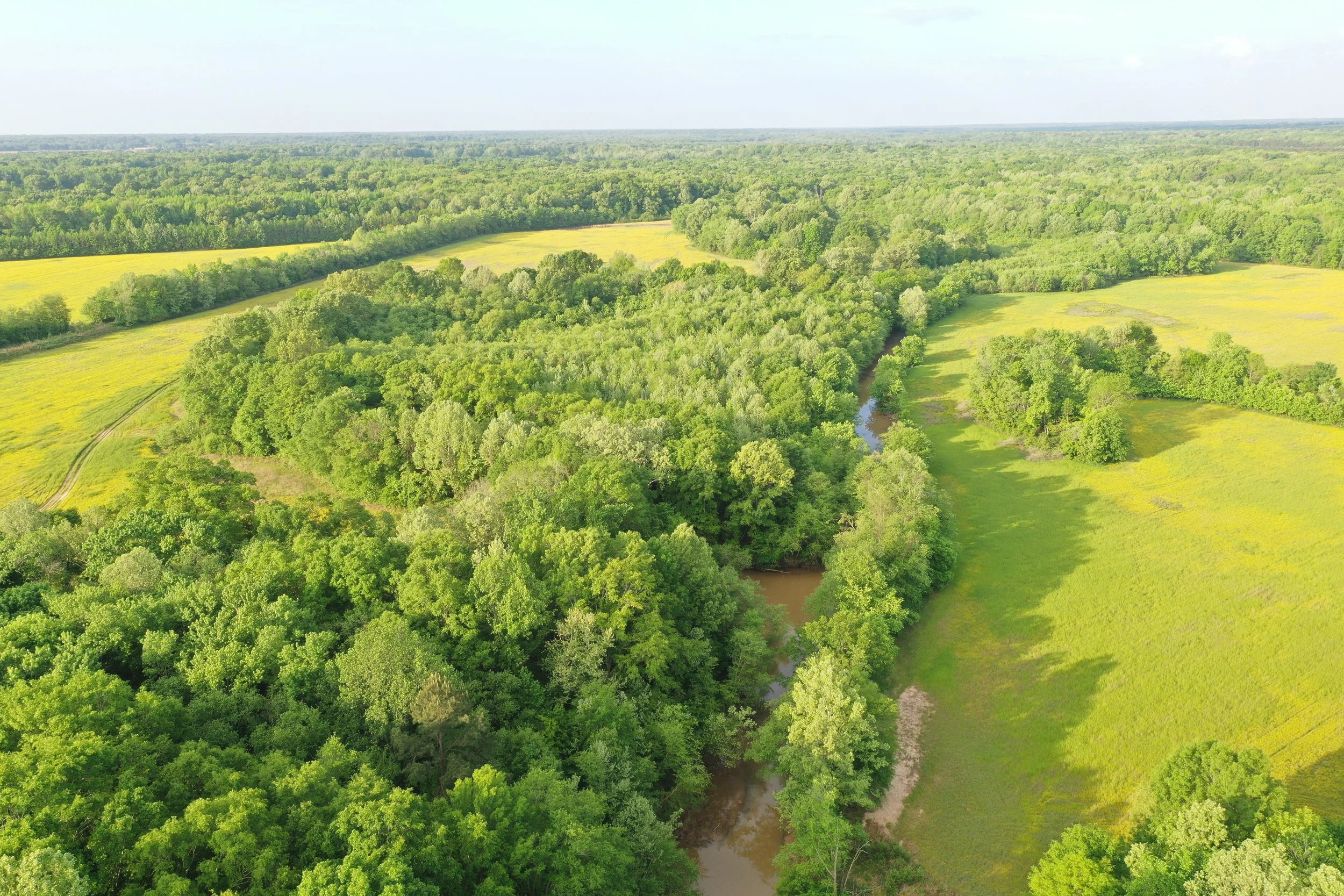 DJI_0460.JPG