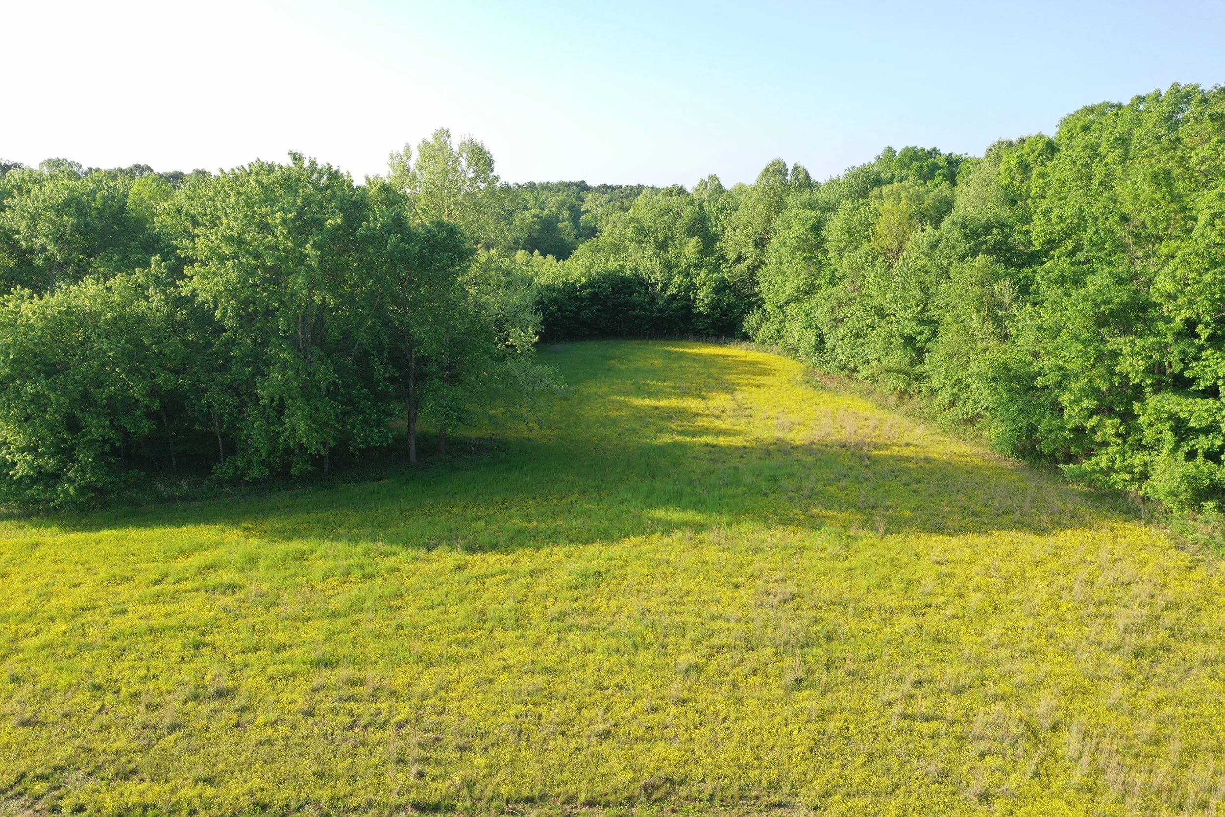 DJI_0477.JPG