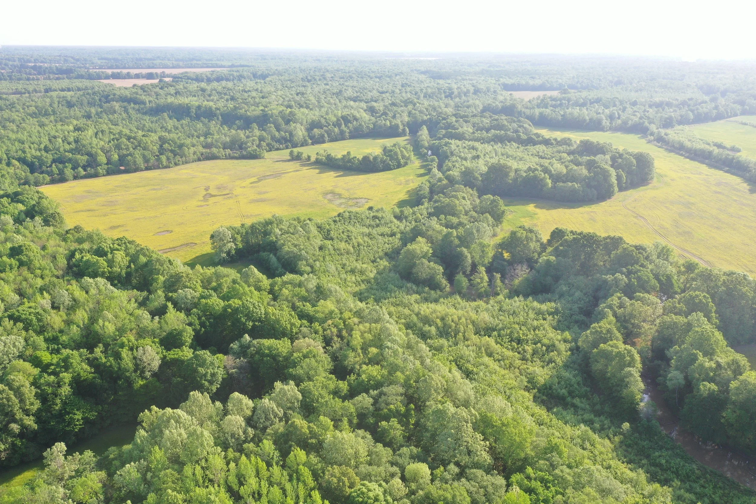 DJI_0498.JPG