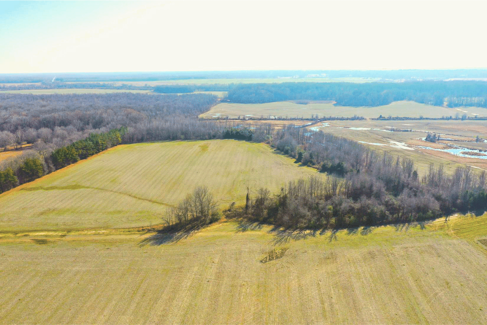 Recent Listings