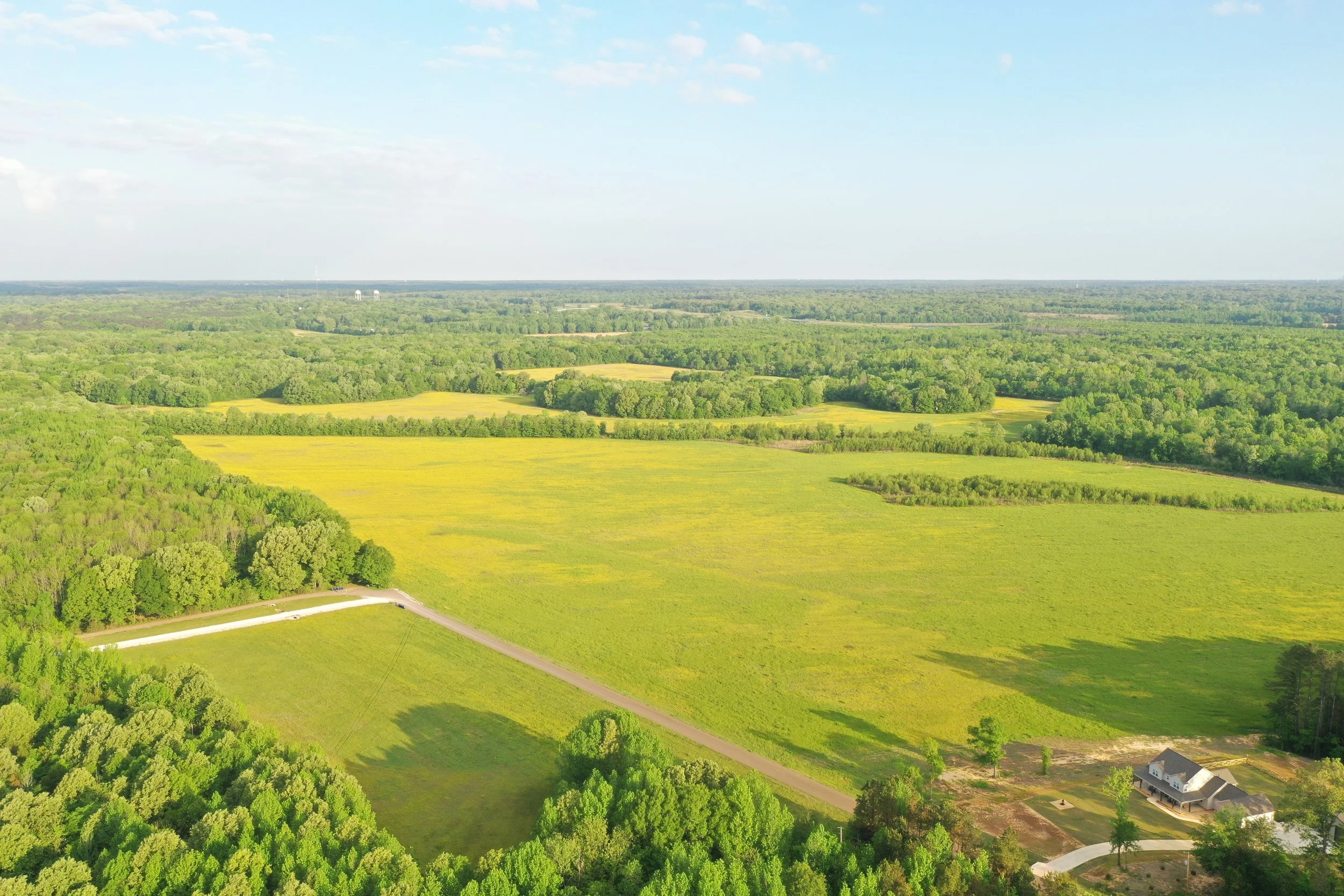 DJI_0437.JPG