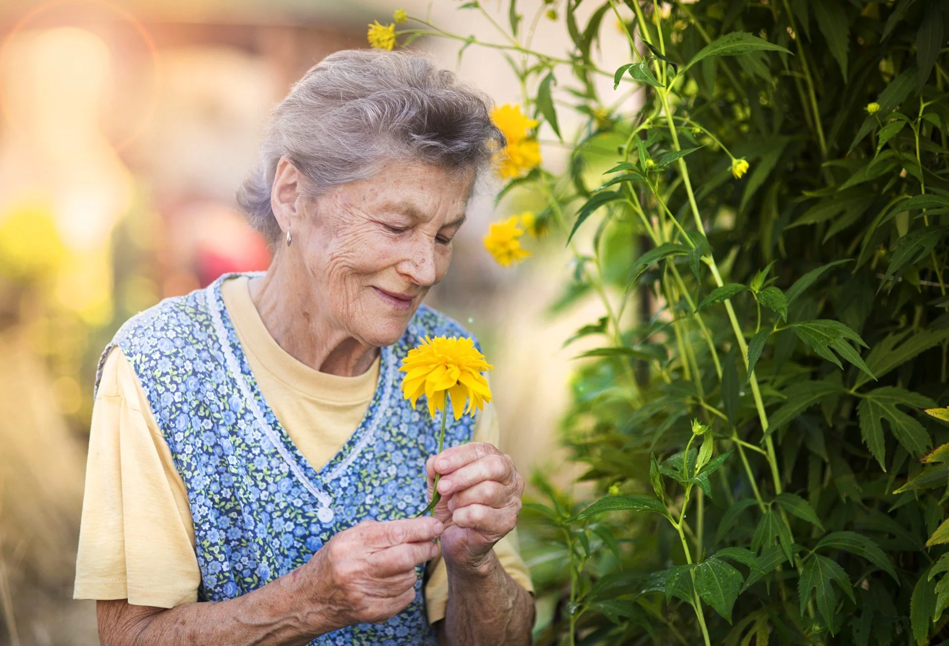 ways-seniors-enjoy-the-outdoors-again.jpg