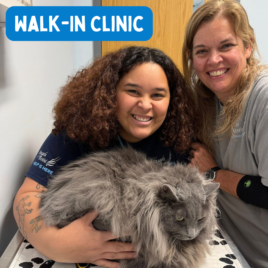 Walk-In Wellness Clinic