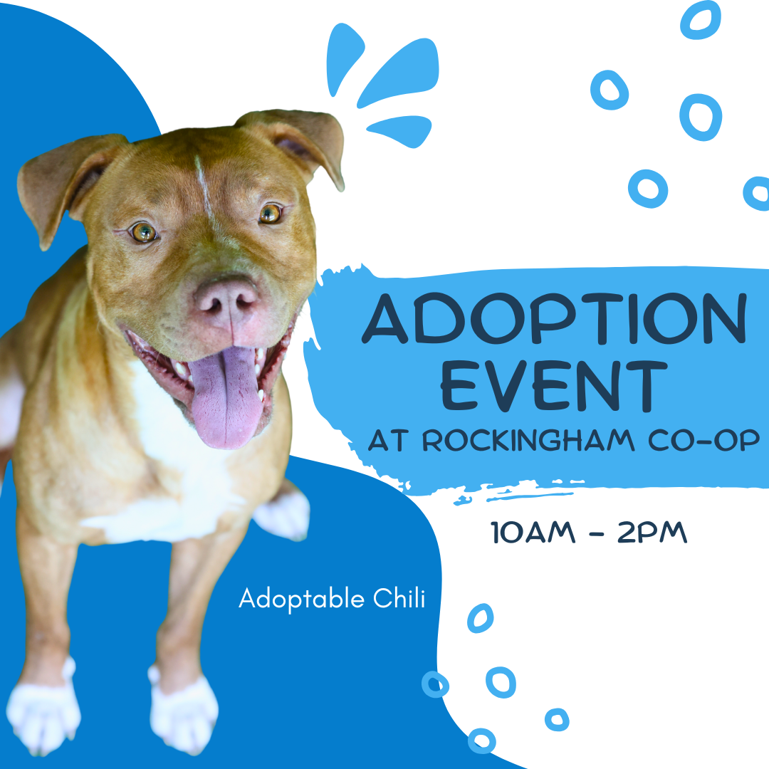 Adoption Event at Rockingham Co-Op ACE Hardware
