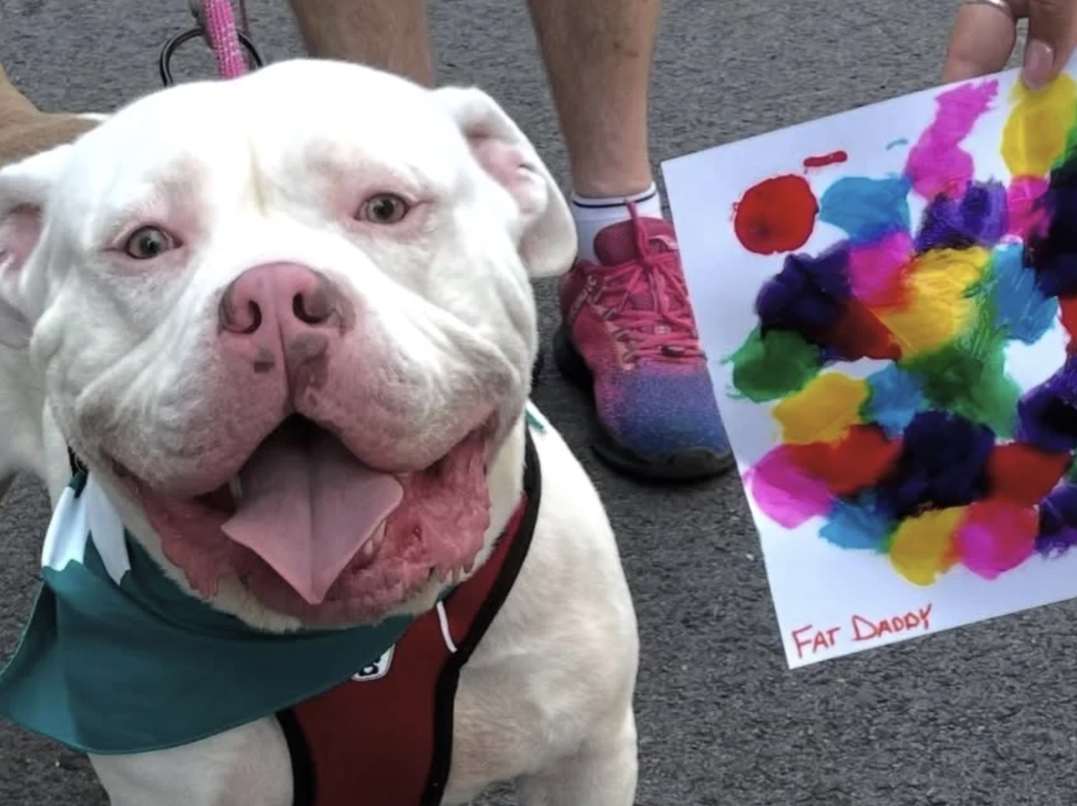 Pop PUPmuseum