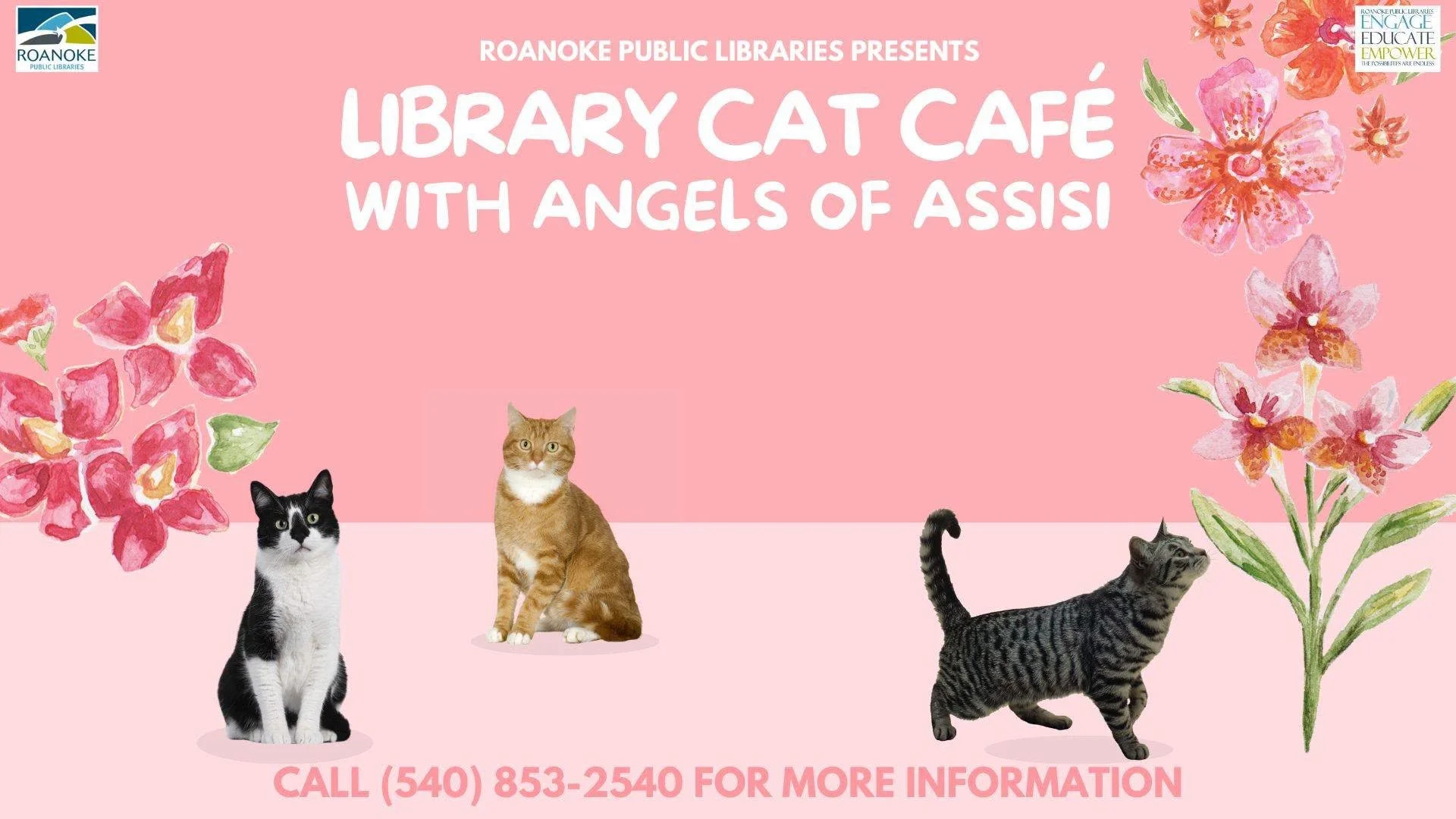 Library Cat Café
