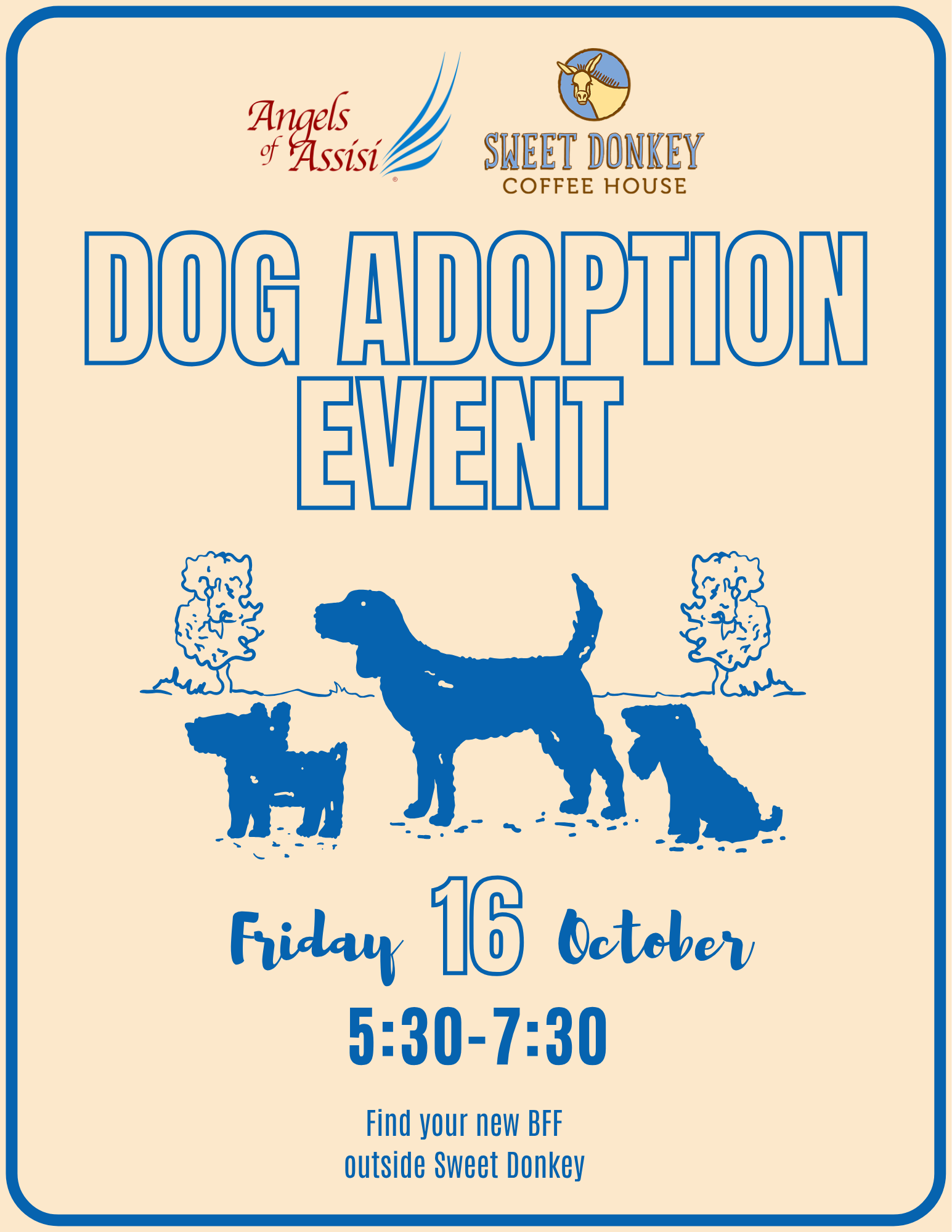 Adoption Event at Sweet Donkey
