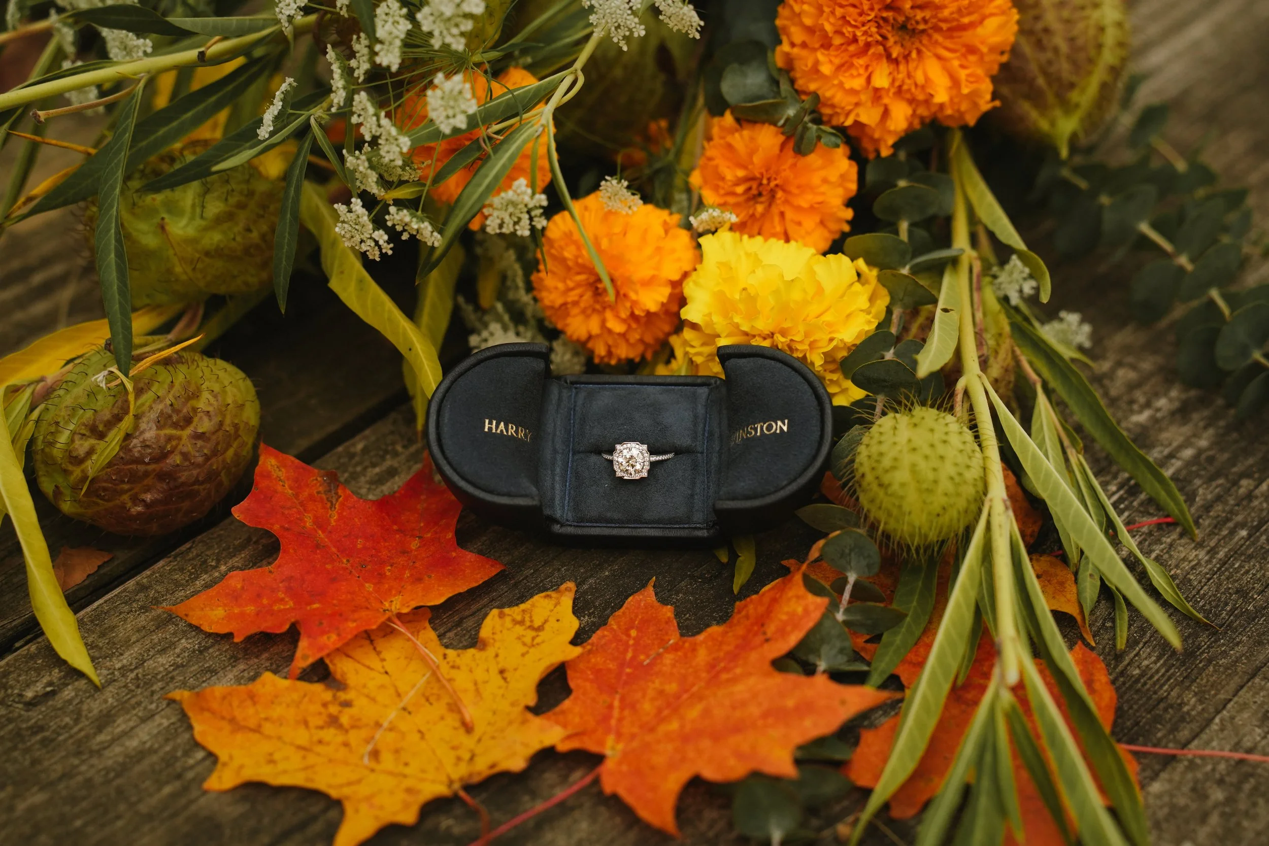 A diamond engagement ring in a black box labeled 'Harry Winston' surrounded by orange and yellow marigold flowers, green leaves, small white flowers, and fallen autumn leaves on a wooden surface.