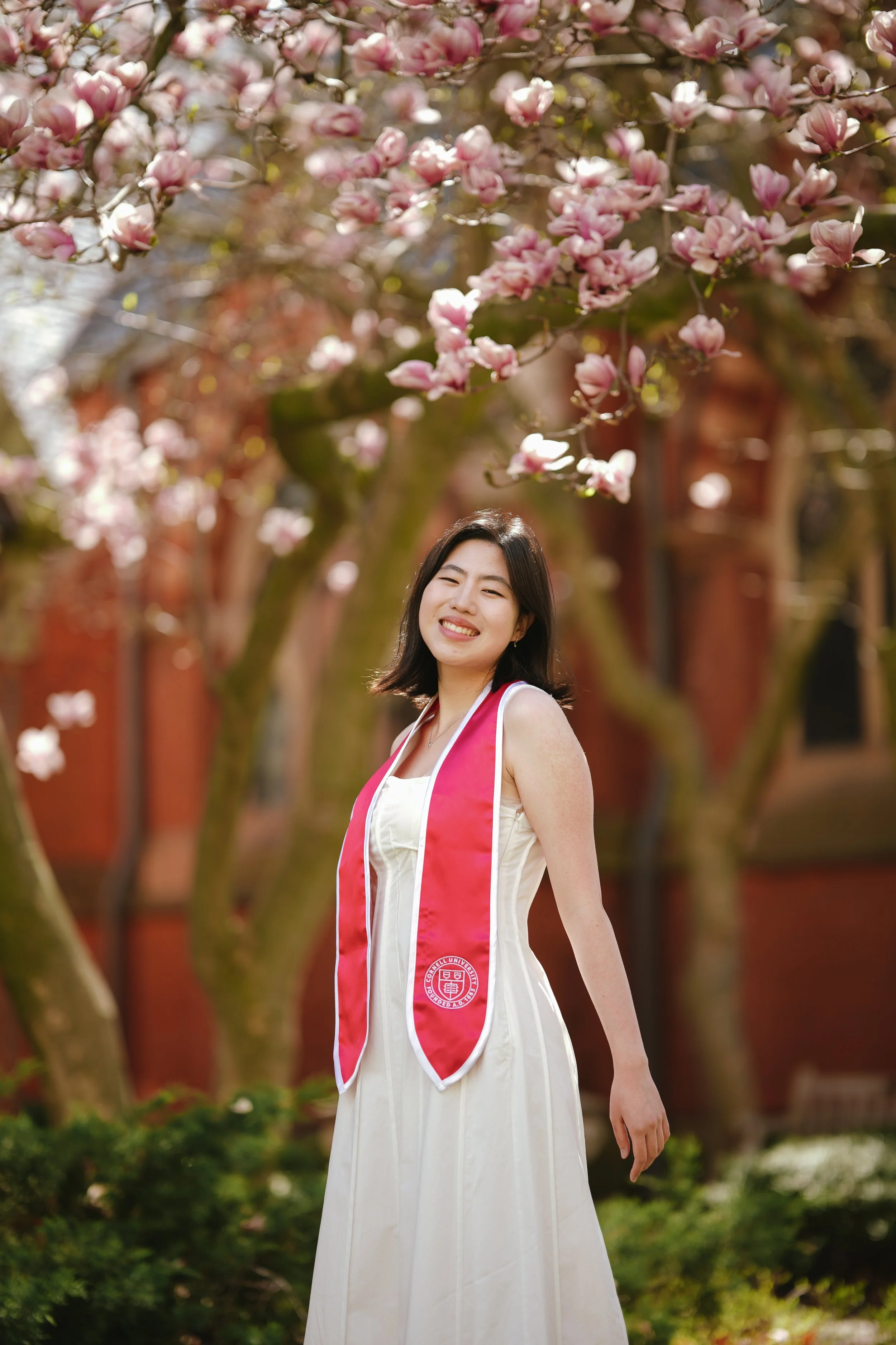 A young woman in a white dress and a red graduation stole standing outdoors in front of blooming pink cherry blossom trees, smiling.
