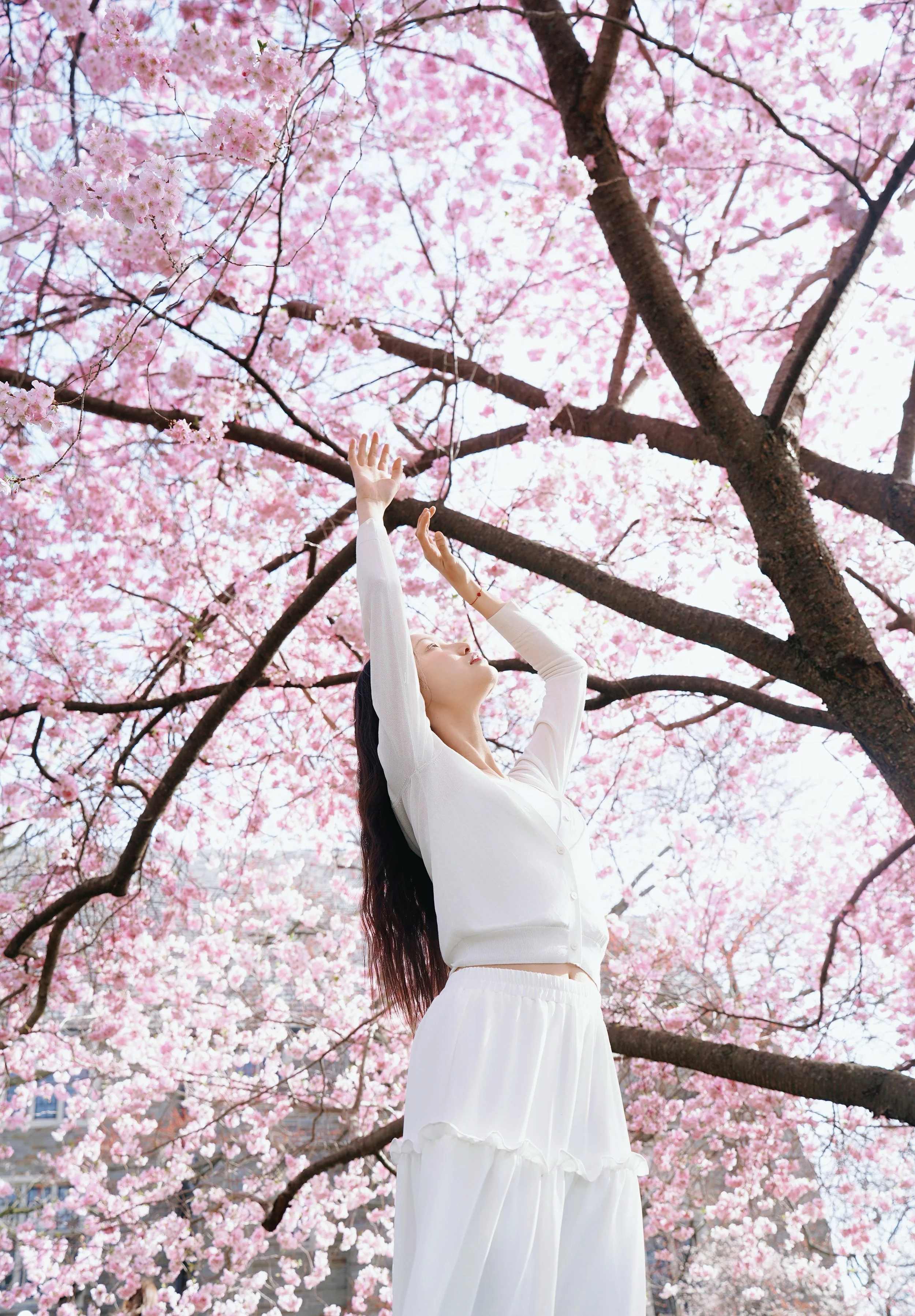 A woman with long dark hair reaching up, standing under cherry blossom trees with pink flowers in bloom.